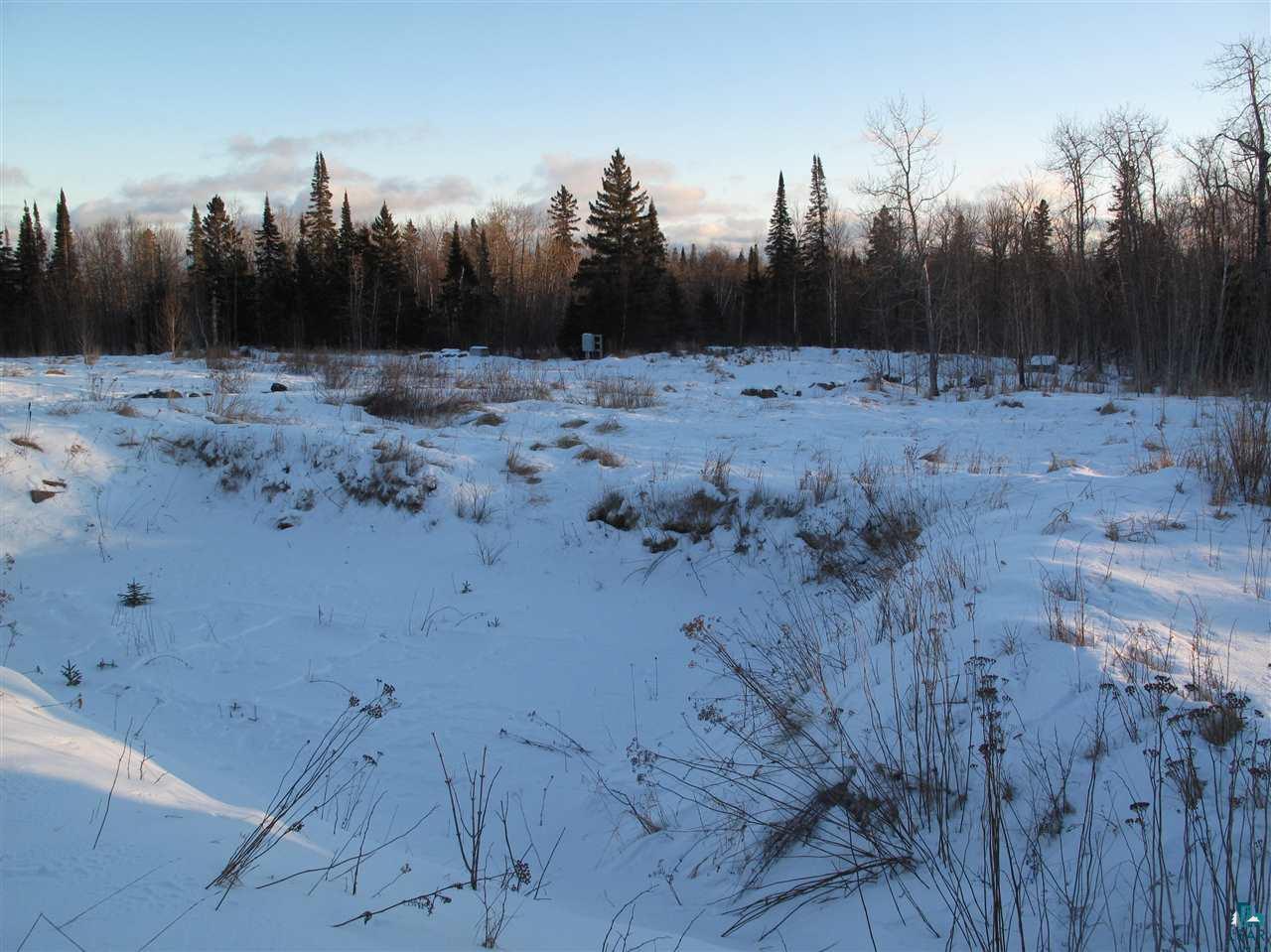 2-xx Mink Ranch Road Lutsen, MN 55612 - Photo 7 of 30