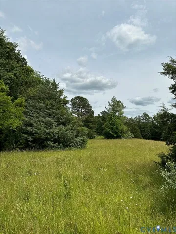 a view of a field with an trees in the background
