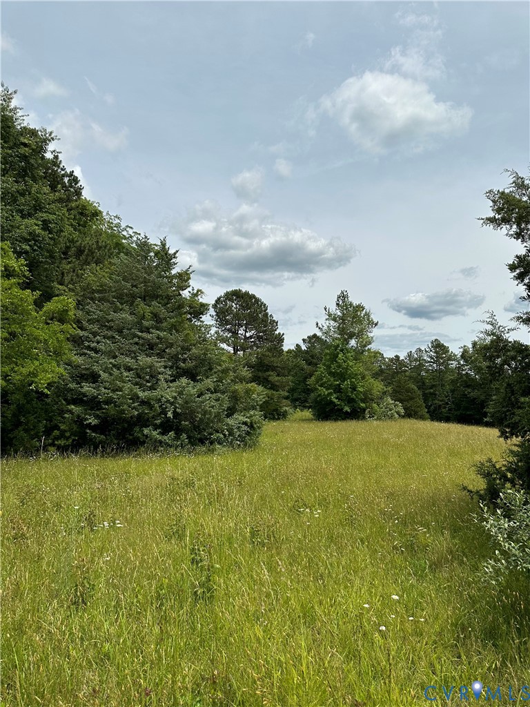 View of wooded area
