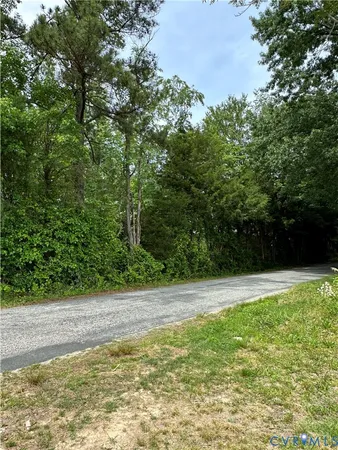a view of a yard with a plant