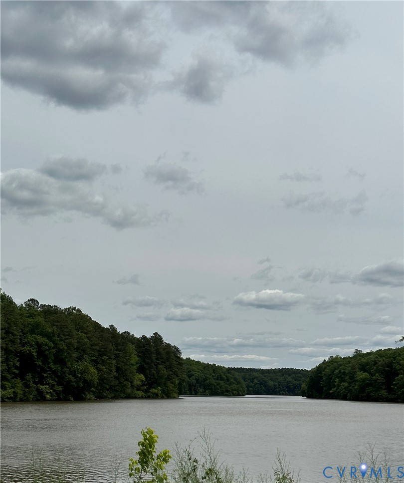 Water view with a forest