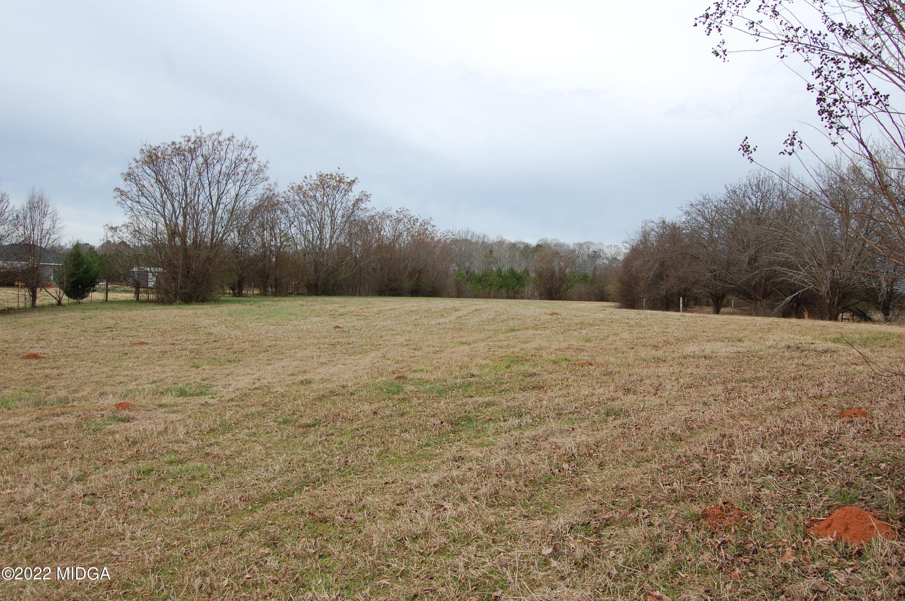 1059 Old Zebulon Road Forsyth, GA 31029 - Photo 1 of 38 DSC_0223