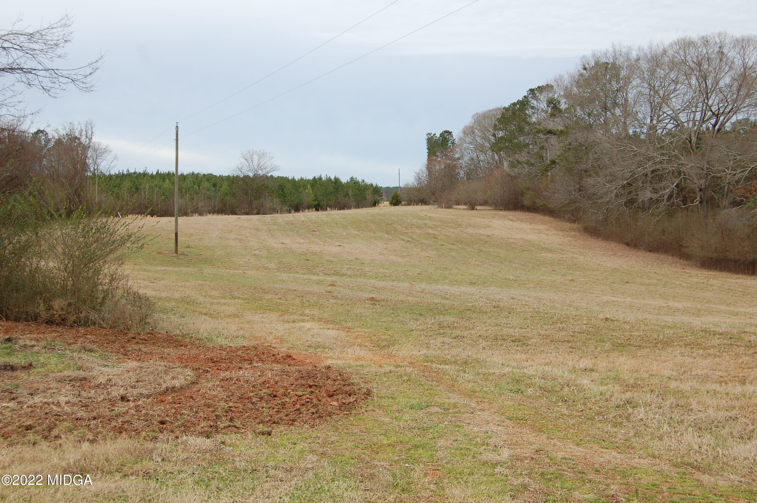 1059 Old Zebulon Road Forsyth, GA 31029 - Photo 2 of 38 DSC_0219