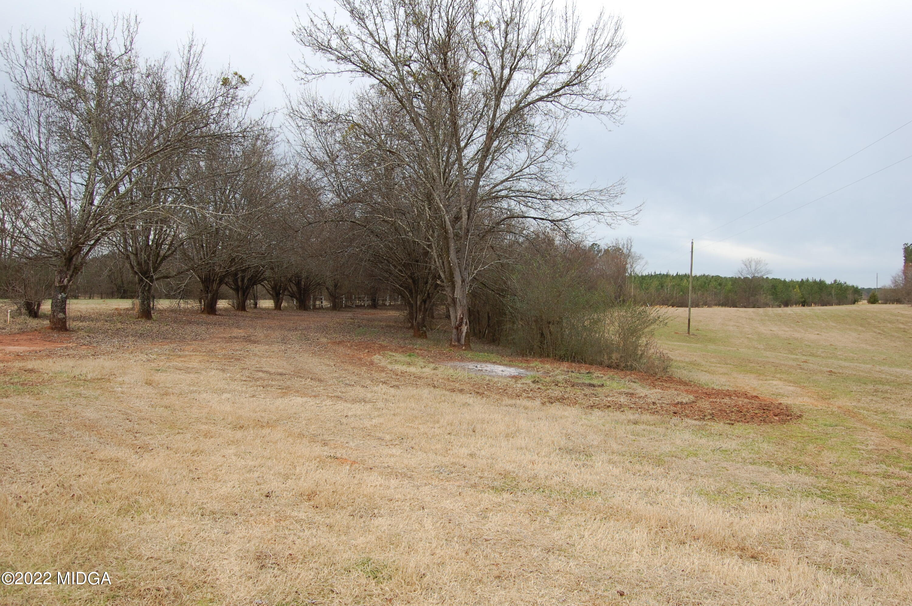 1059 Old Zebulon Road Forsyth, GA 31029 - Photo 29 of 38 DSC_0248