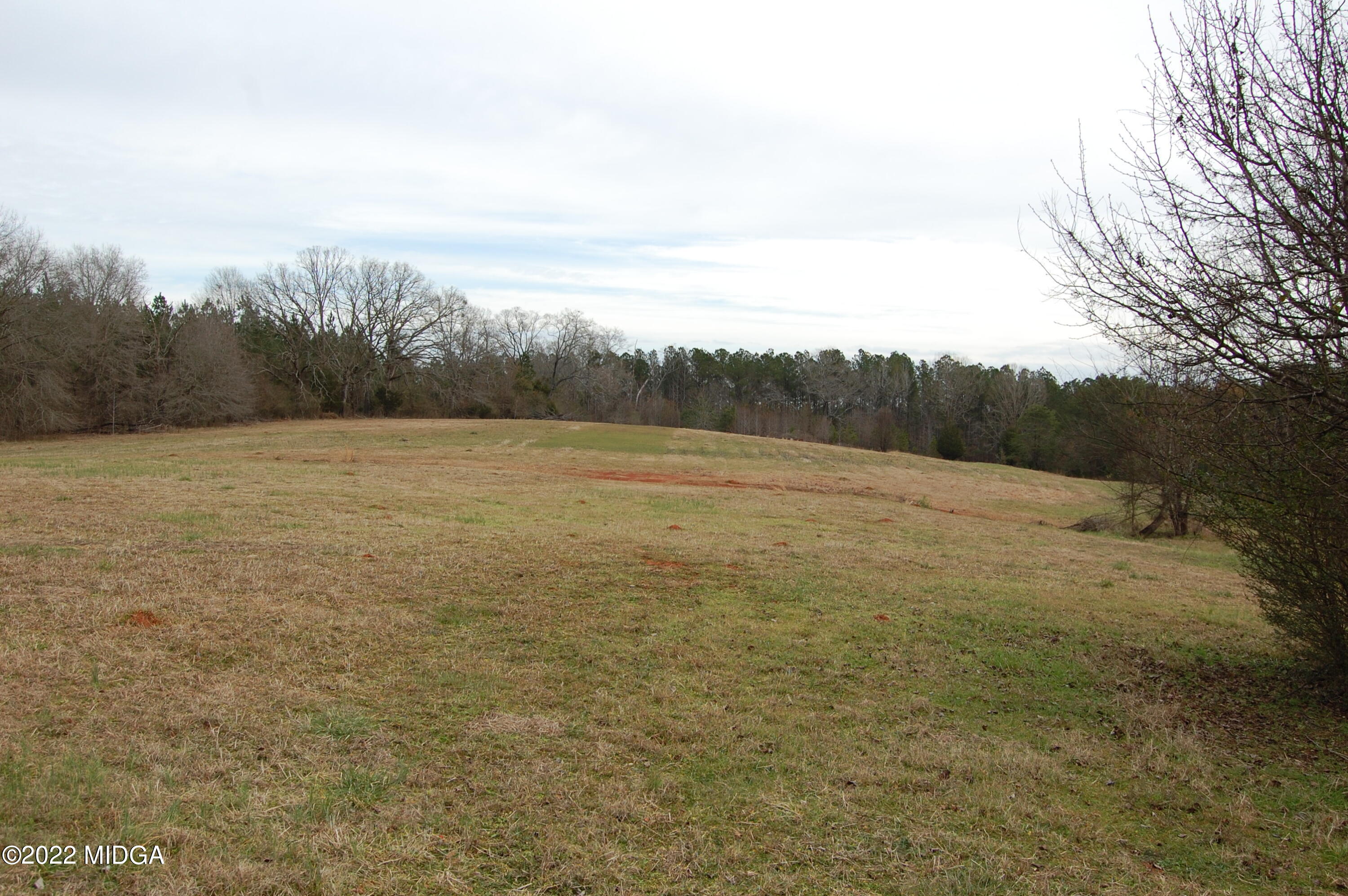 1059 Old Zebulon Road Forsyth, GA 31029 - Photo 3 of 38 DSC_0228