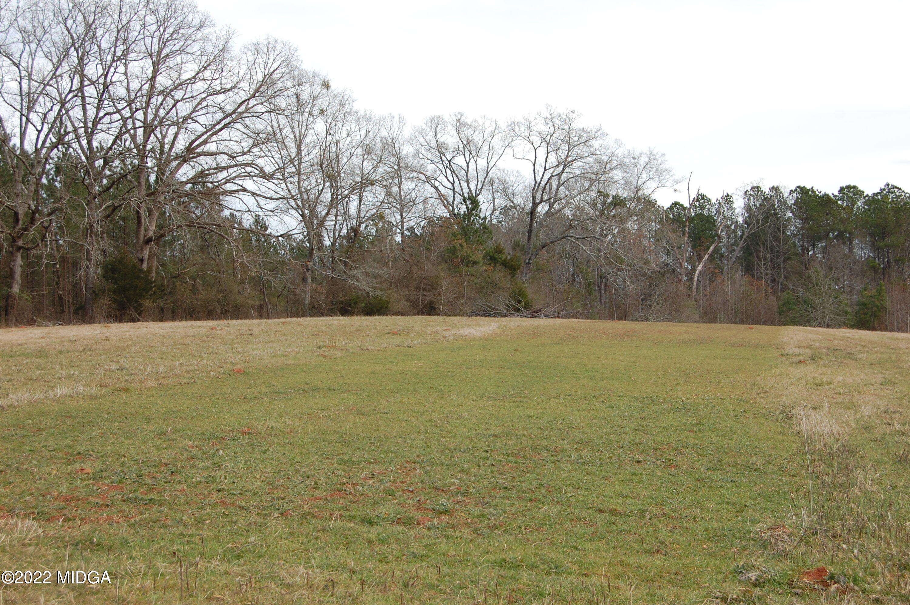1059 Old Zebulon Road Forsyth, GA 31029 - Photo 36 of 38 DSC_0255