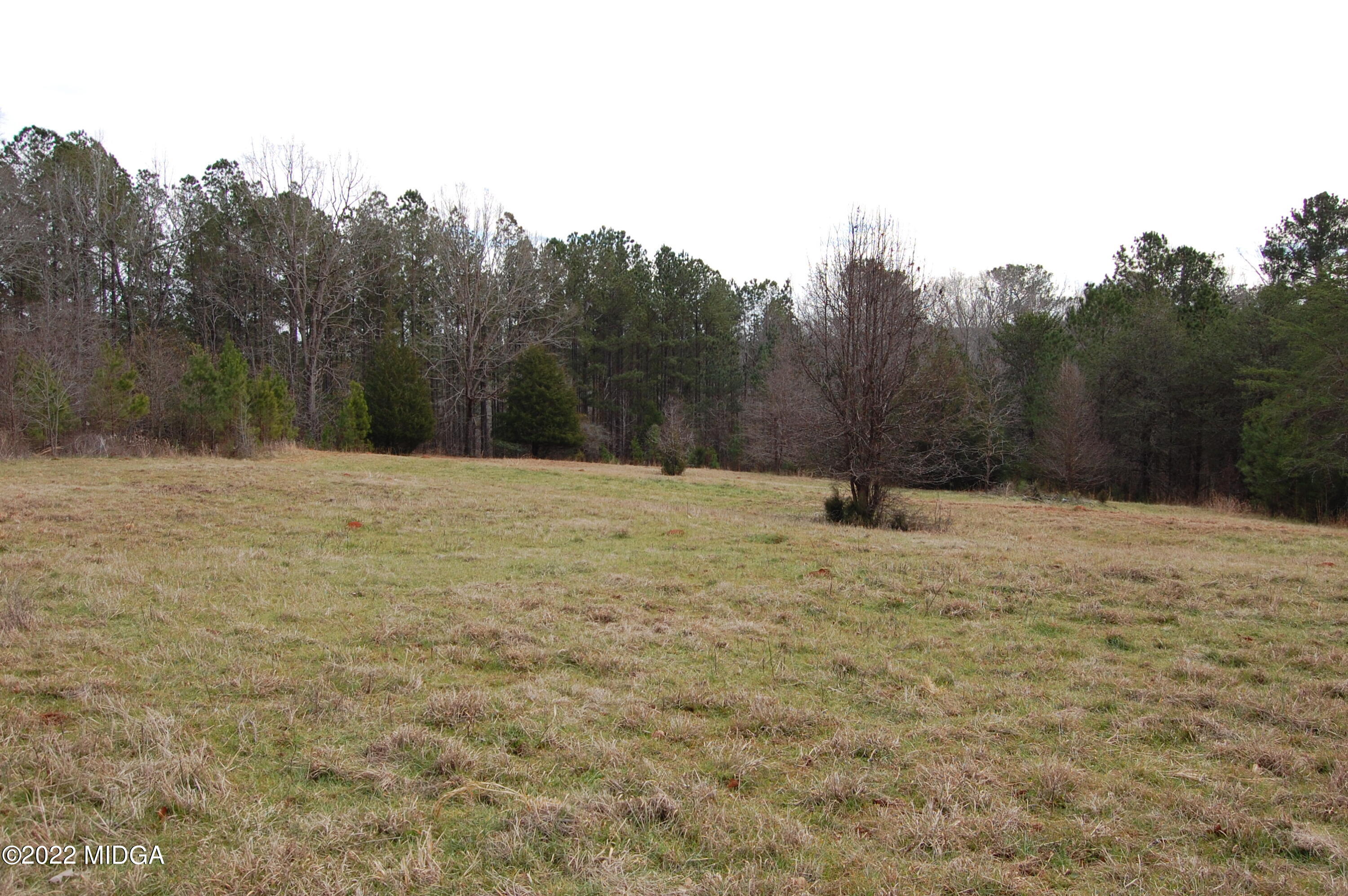 1059 Old Zebulon Road Forsyth, GA 31029 - Photo 38 of 38 DSC_0257