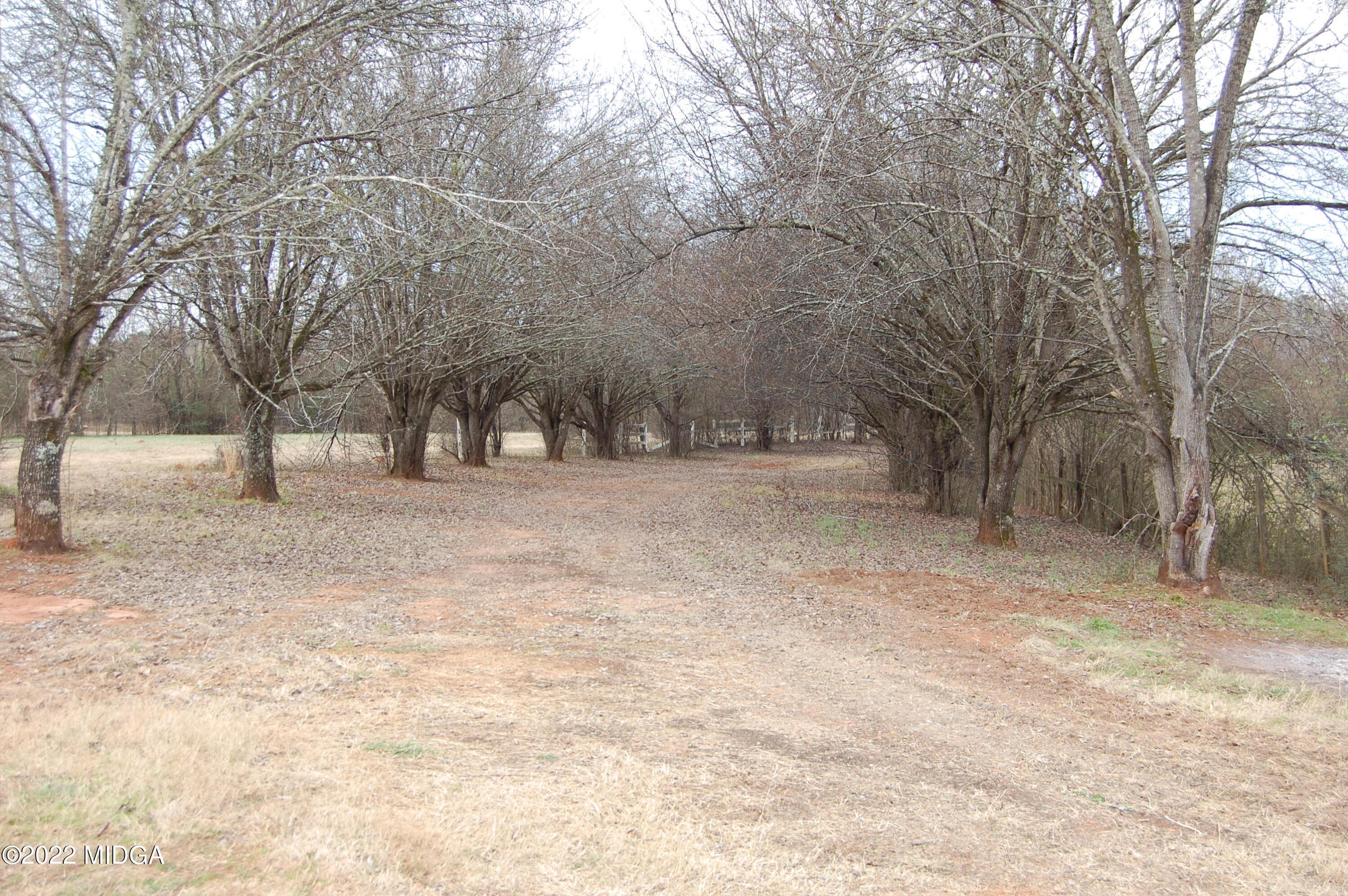 1059 Old Zebulon Road Forsyth, GA 31029 - Photo 4 of 38 DSC_0220