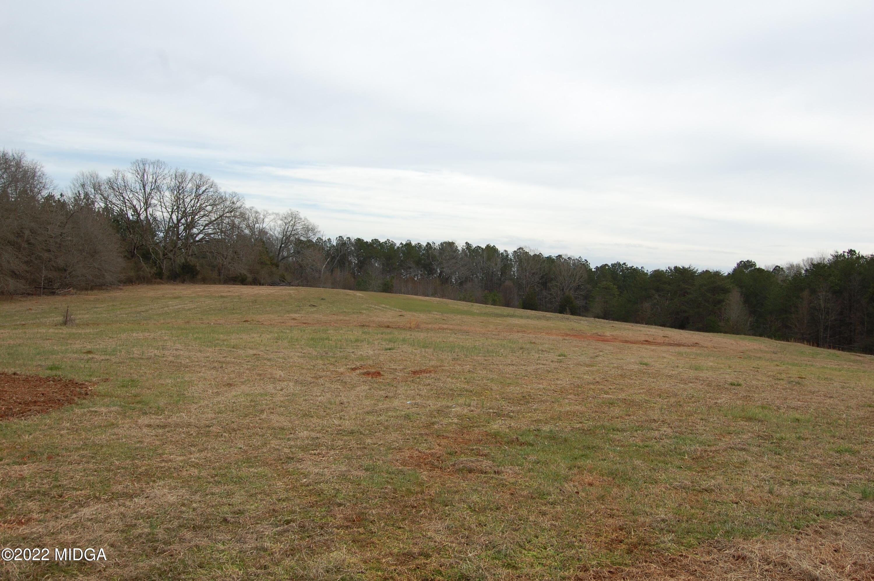 1059 Old Zebulon Road Forsyth, GA 31029 - Photo 5 of 38 DSC_0231