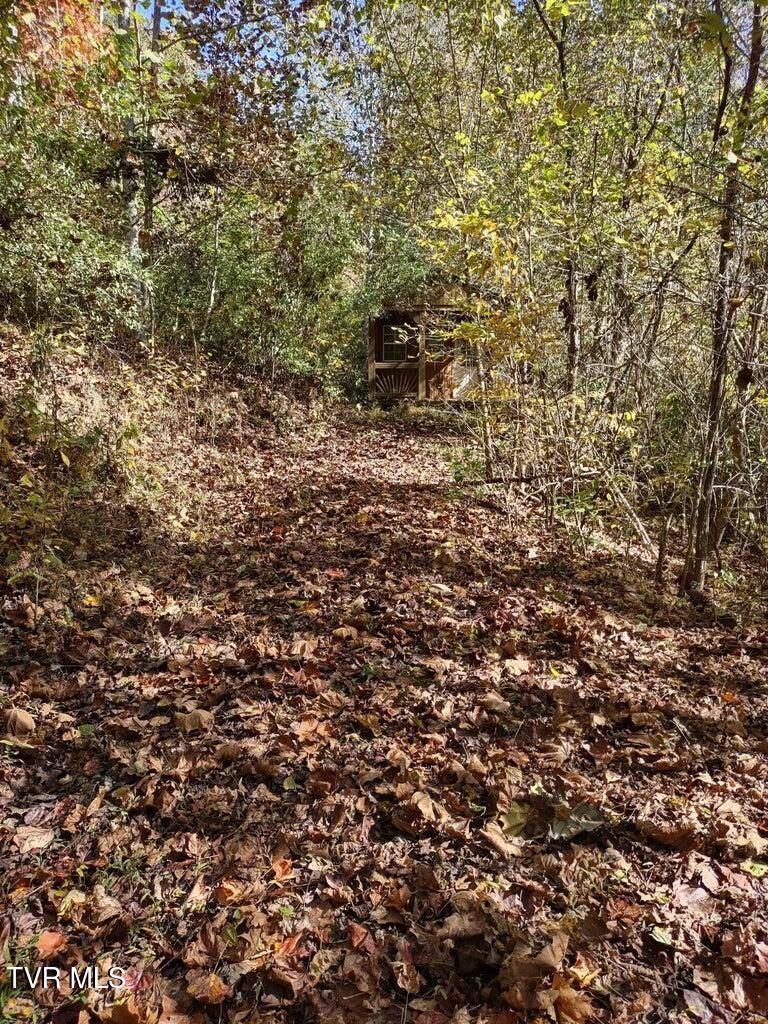 Tbd North Fork River Road, Unit 3 Abingdon, VA 24210 - Photo 13 of 34 *