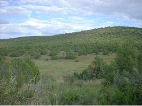 4021 Dillon Wash Road Prescott, AZ 86305 - Photo 1 of 3 Primary Photo