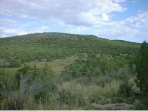 4021 Dillon Wash Road Prescott, AZ 86305 - Photo 2 of 3 Additional Photo