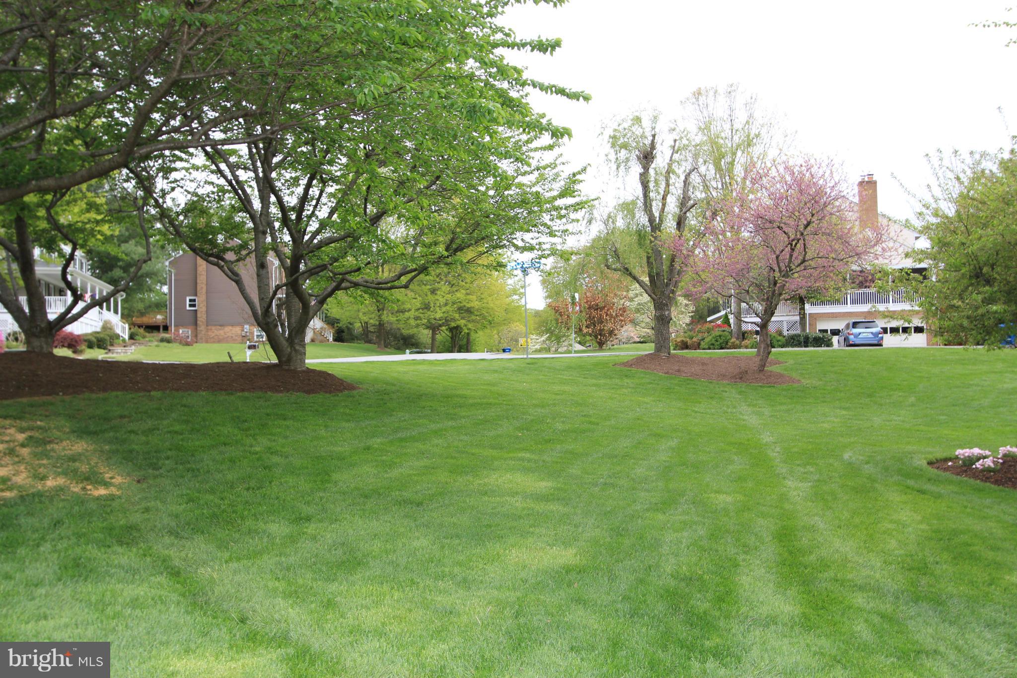 2810 Rifle Ridge Road Oakton, VA 22124 - Photo 19 of 30 View From Front Porch