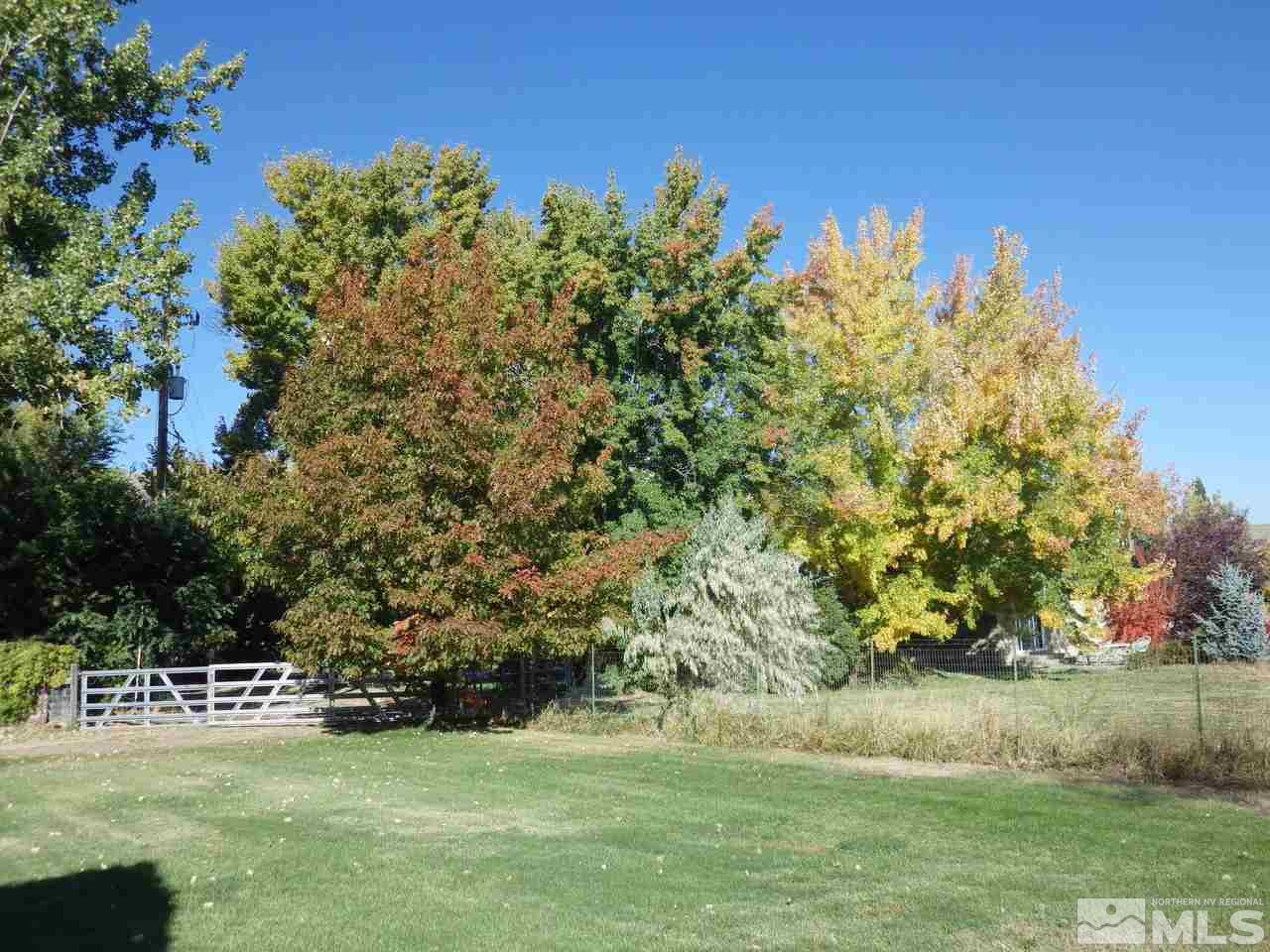 600 Theobald Reno, NV 89521 - Photo 4 of 25 a garden with trees in the background