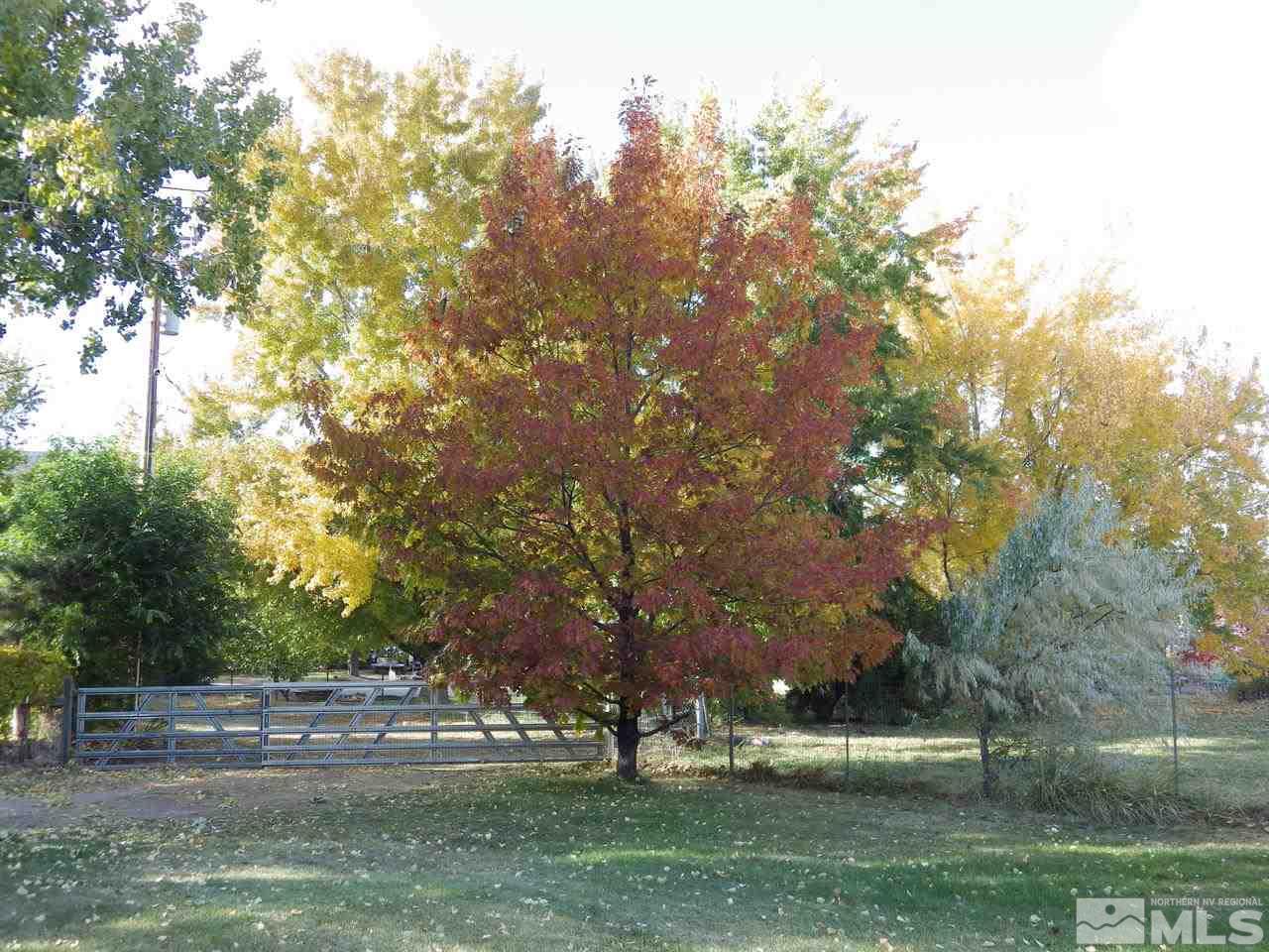 600 Theobald Reno, NV 89521 - Photo 5 of 25 a view of park