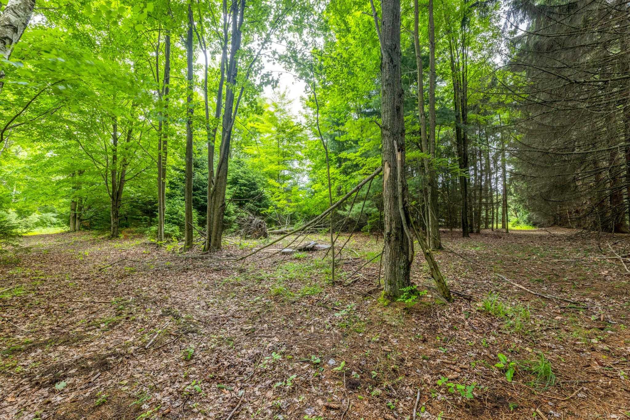 4484 Lakeshore Road Lexington, MI 48450 - Photo 80 of 93