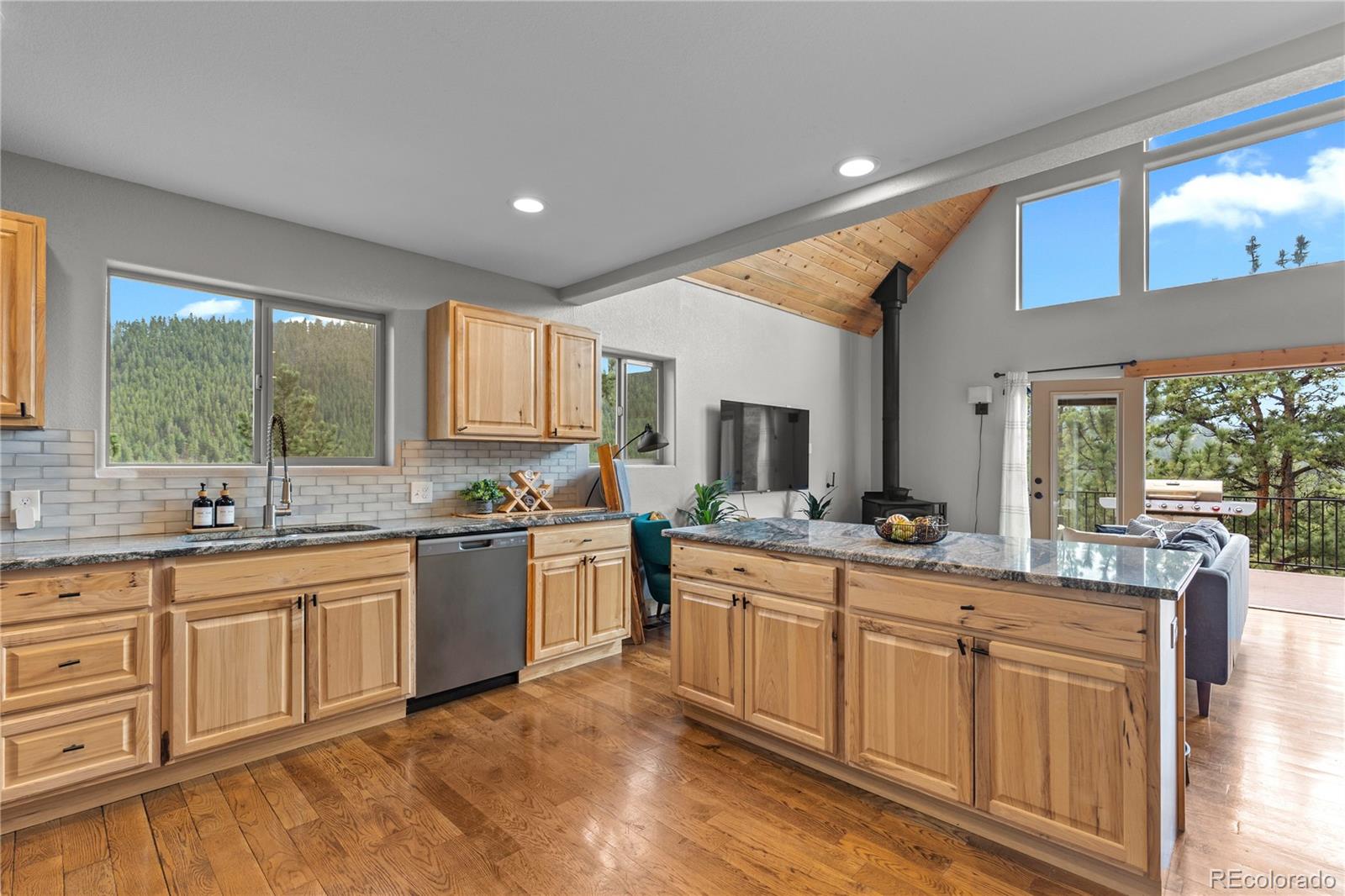 423 Gross Road Bailey, CO 80421 - Photo 18 of 50