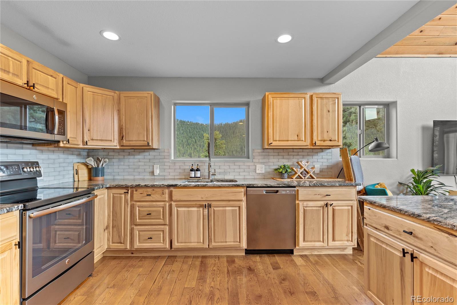 423 Gross Road Bailey, CO 80421 - Photo 19 of 50