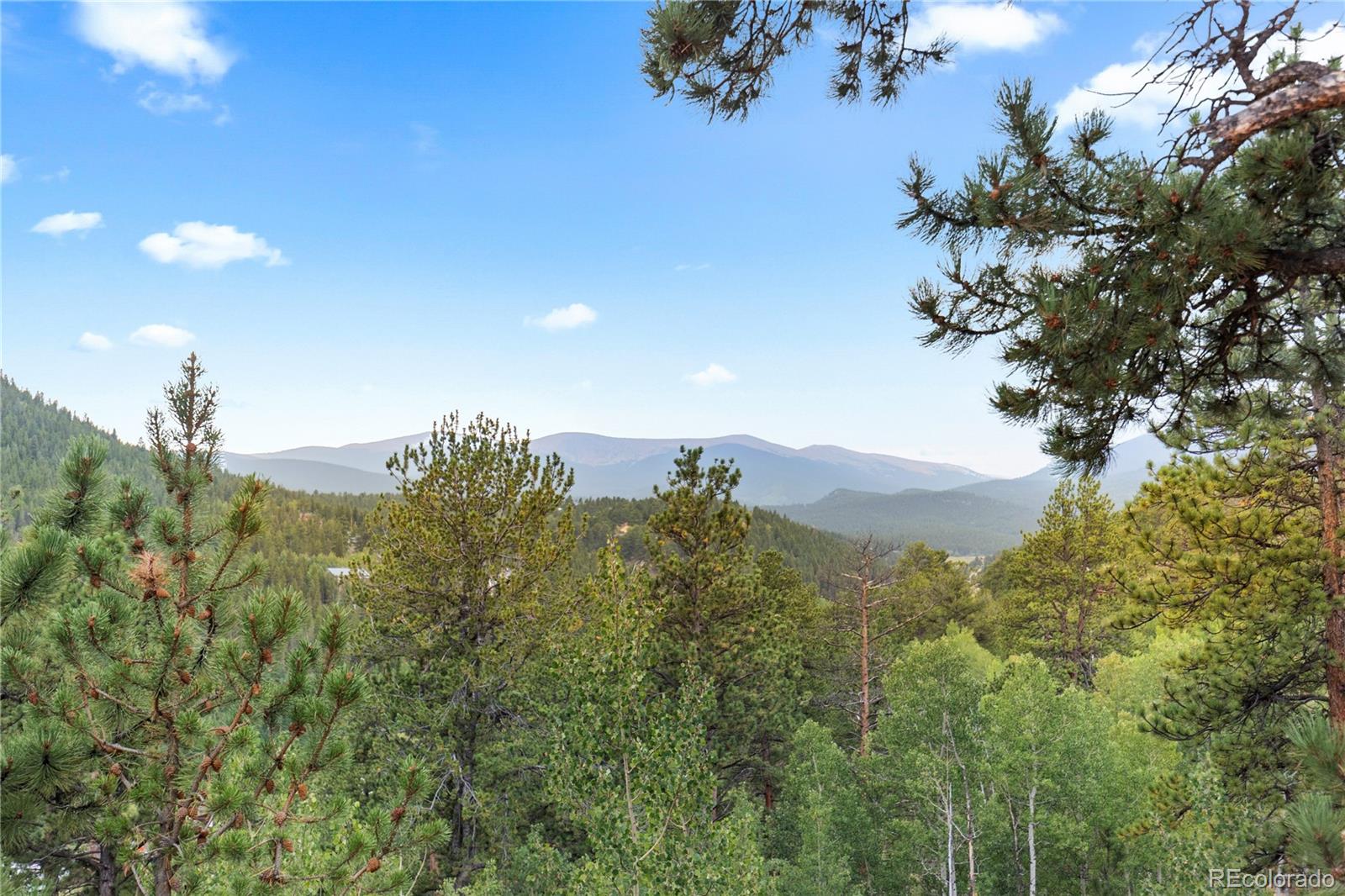 423 Gross Road Bailey, CO 80421 - Photo 44 of 50