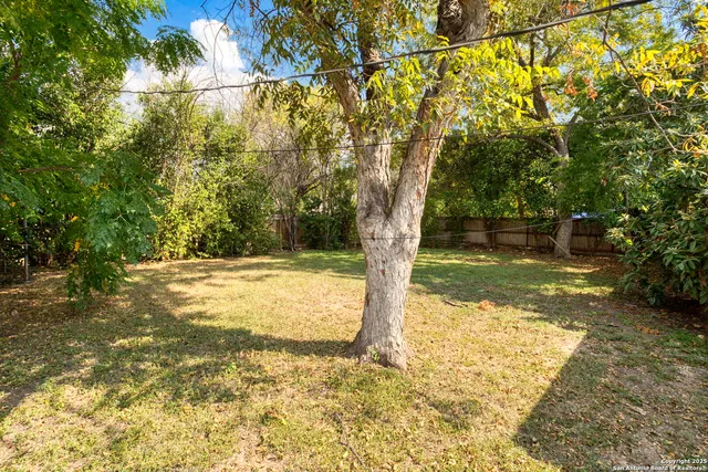 a view of a yard with large trees
