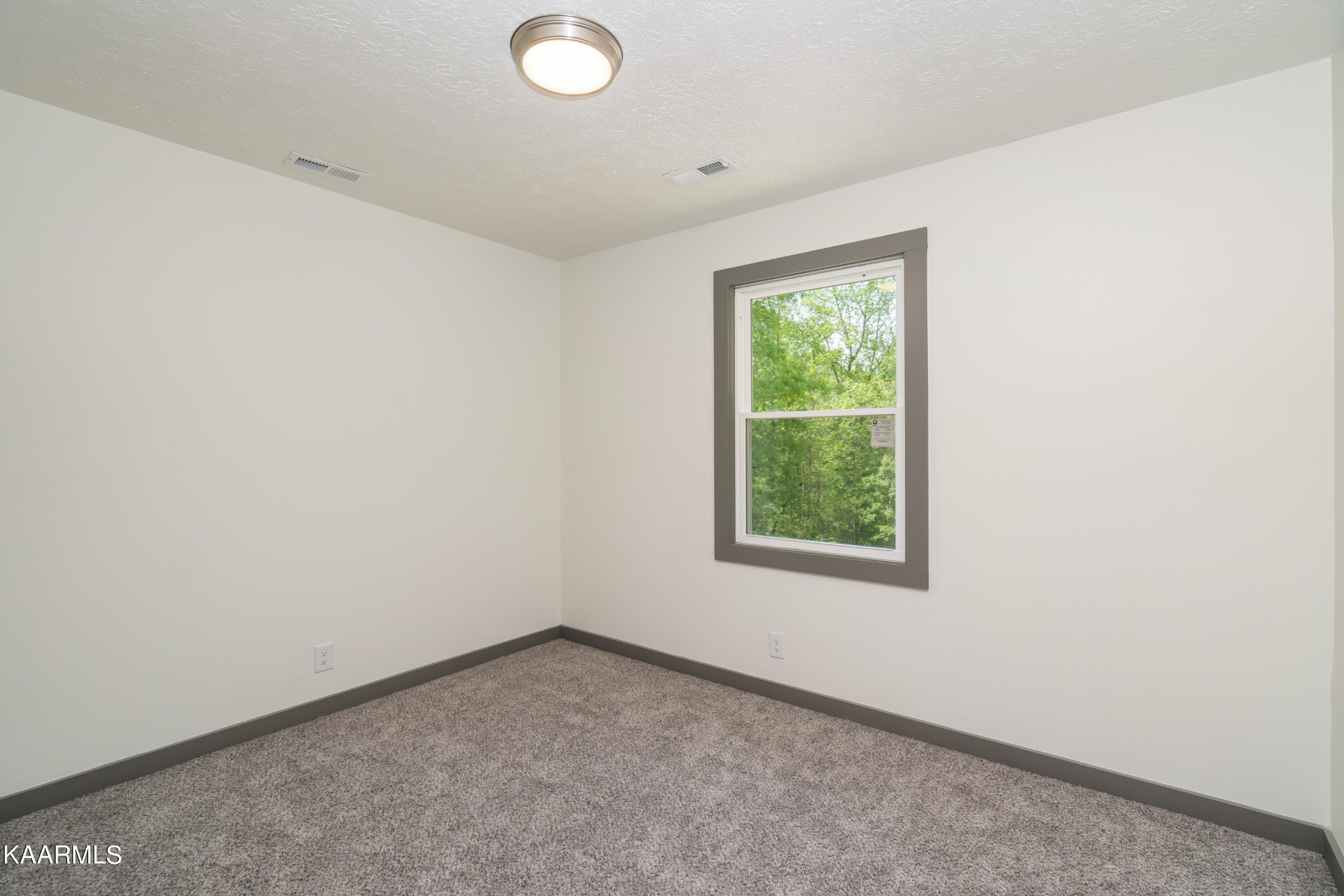 134 Casey Road Harriman, TN 37748 - Photo 16 of 44 Gallery Image 16