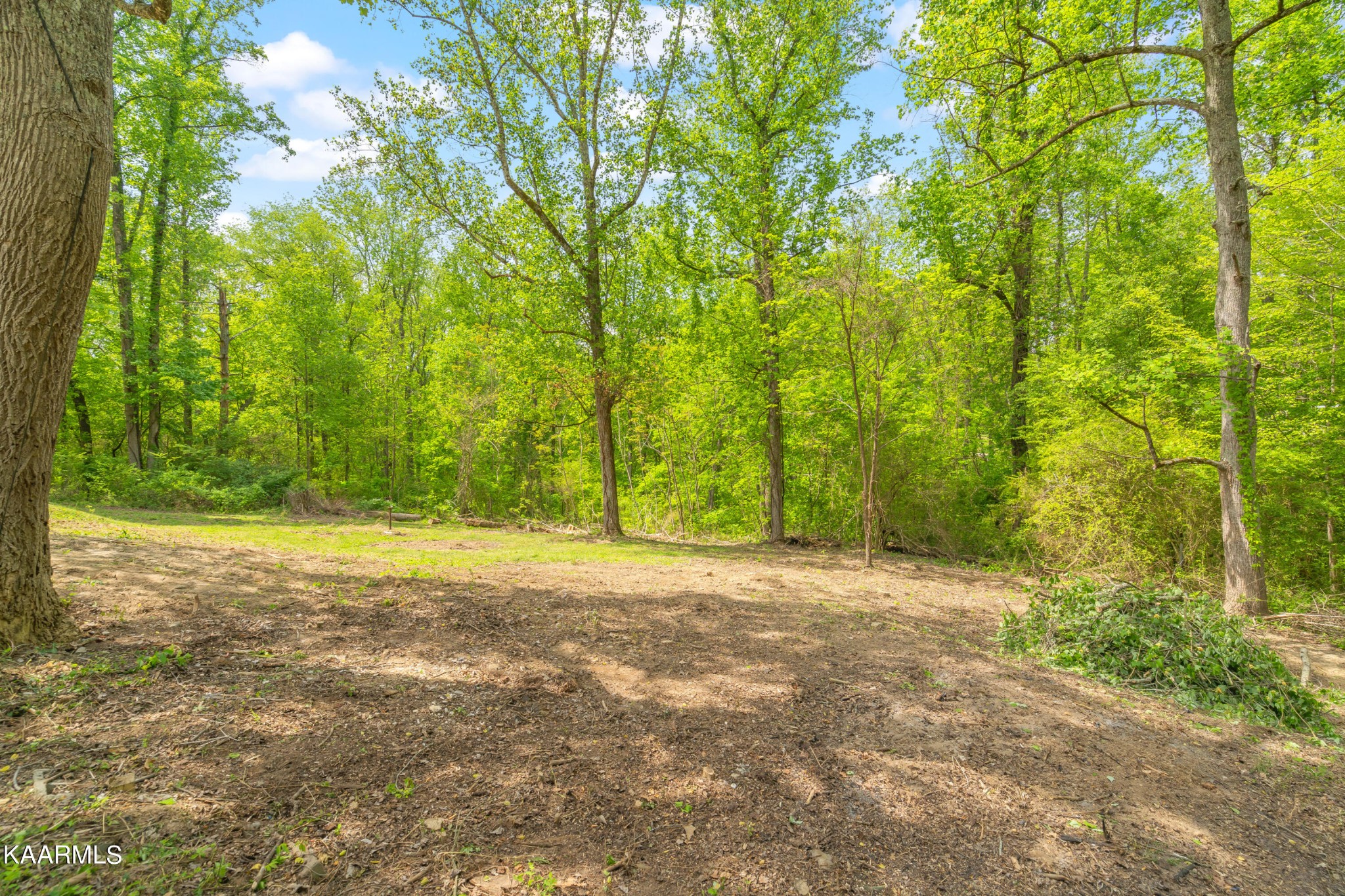 134 Casey Road Harriman, TN 37748 - Photo 34 of 44 Gallery Image 34