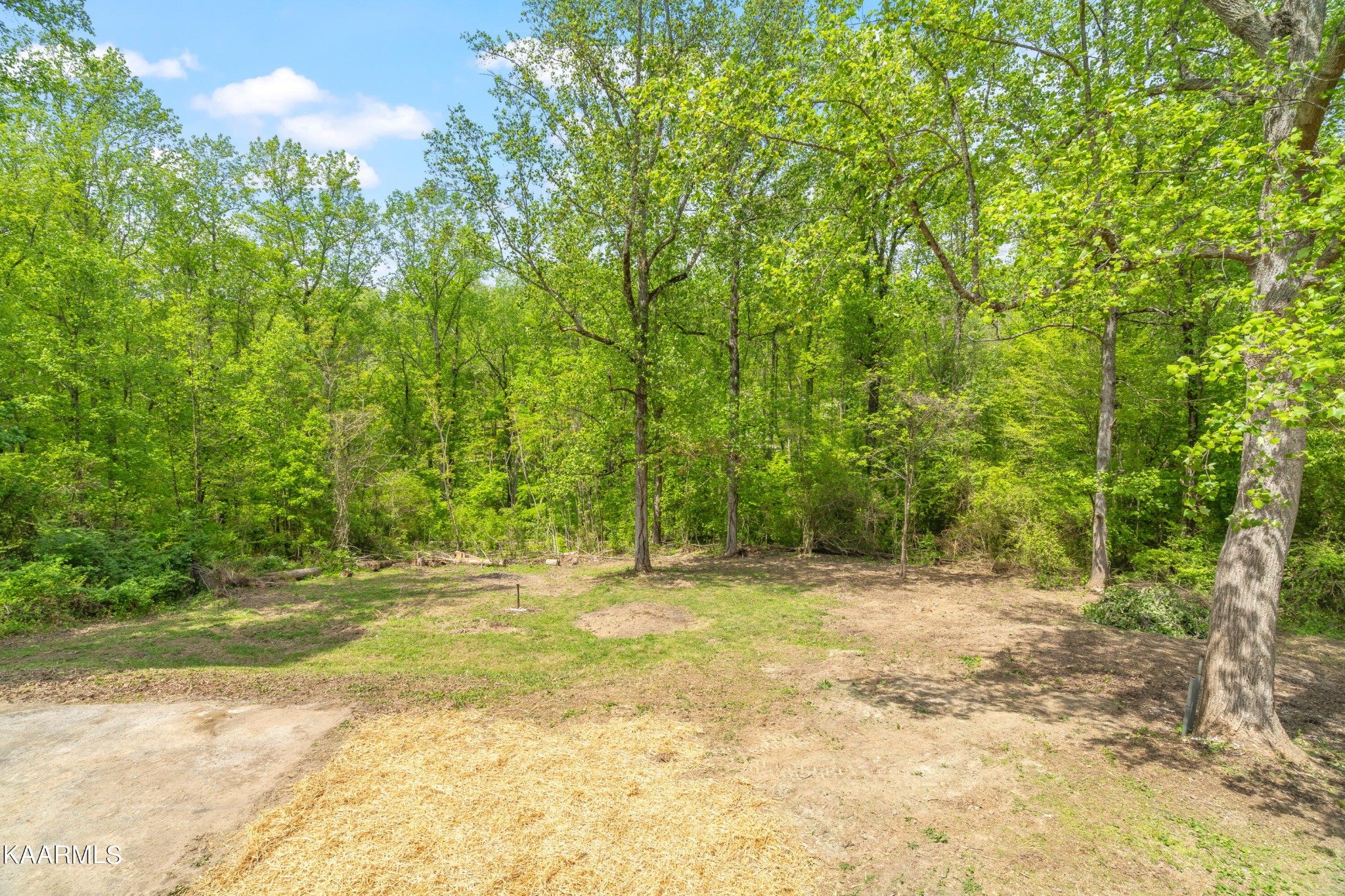 134 Casey Road Harriman, TN 37748 - Photo 44 of 44 Gallery Image 44