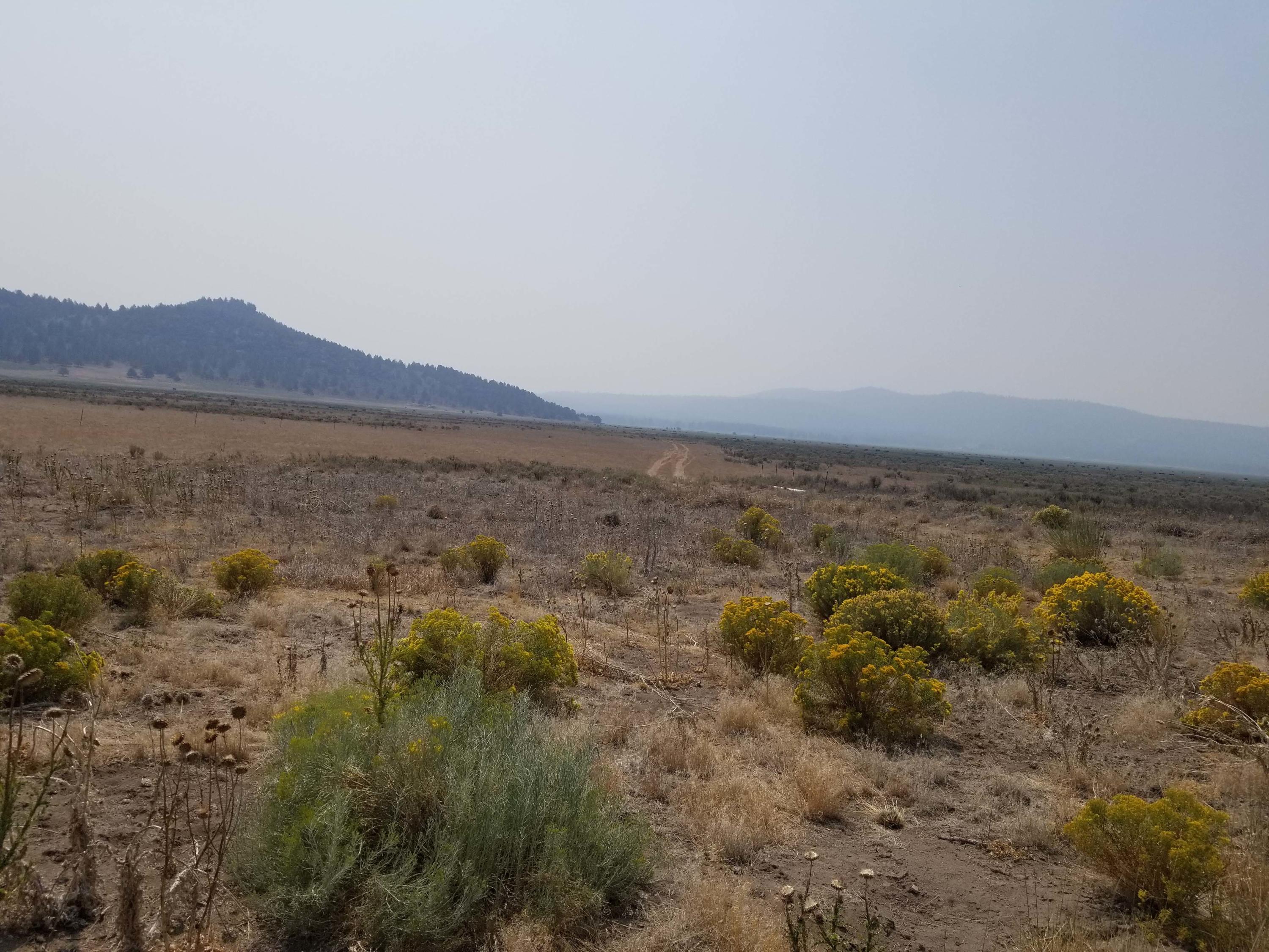 30852 Drews Road Chiloquin, OR 97624 - Photo 43 of 49 43