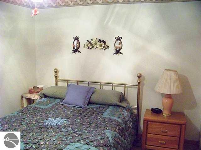 4291 Hemlock Road Cedar, MI 49621 - Photo 11 of 15 1705106-10.JPG