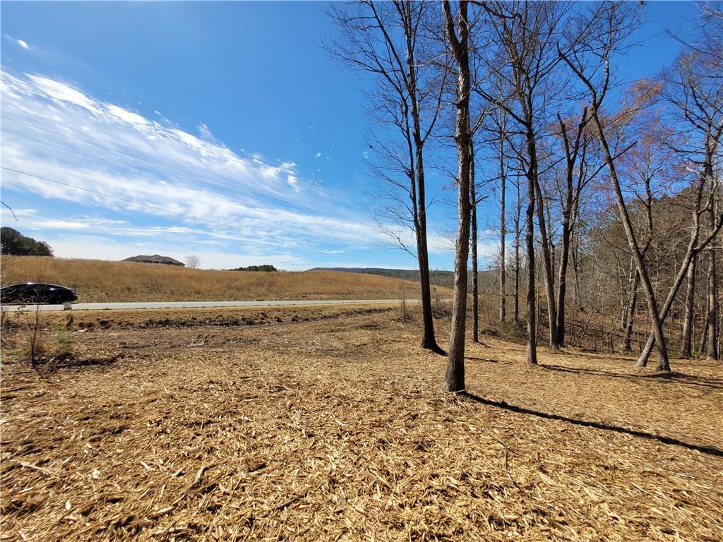 861 B Goat Road Sugar Valley, GA 30746 - Photo 1 of 1 a view of lake with mountain