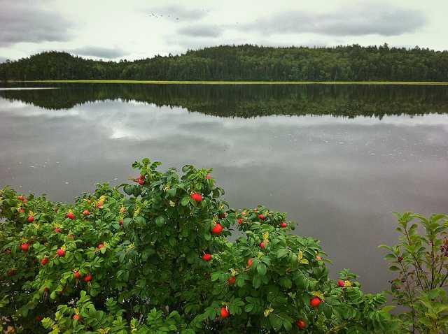 160 Rim Road East Machias, ME 04630 - Photo 6 of 6 View.