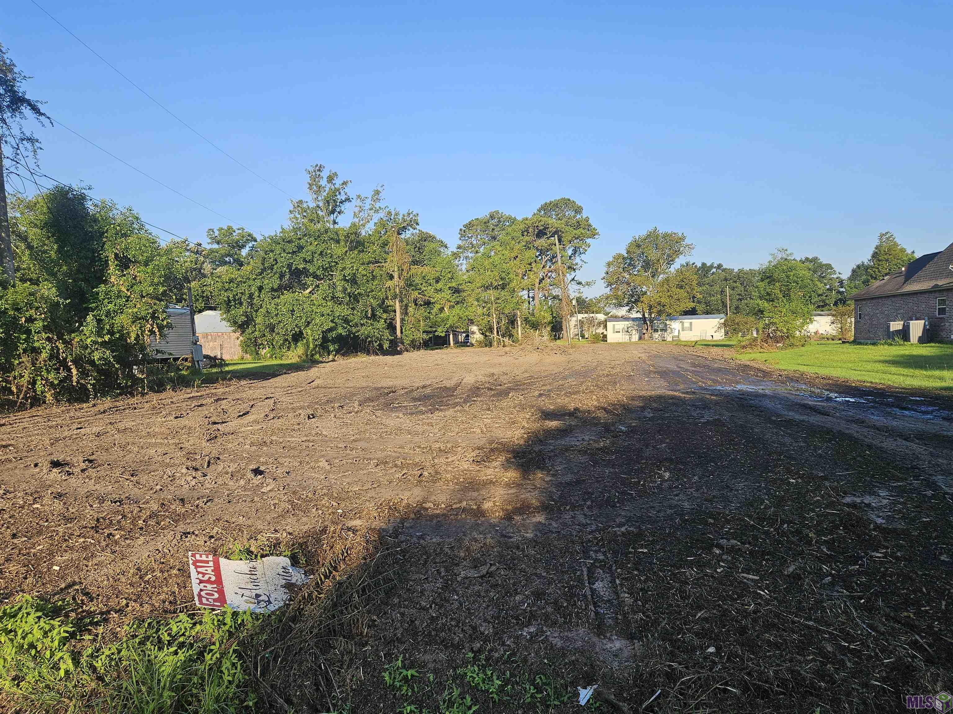 10495 Savoy Road St. Amant, LA 70774 - Photo 5 of 7