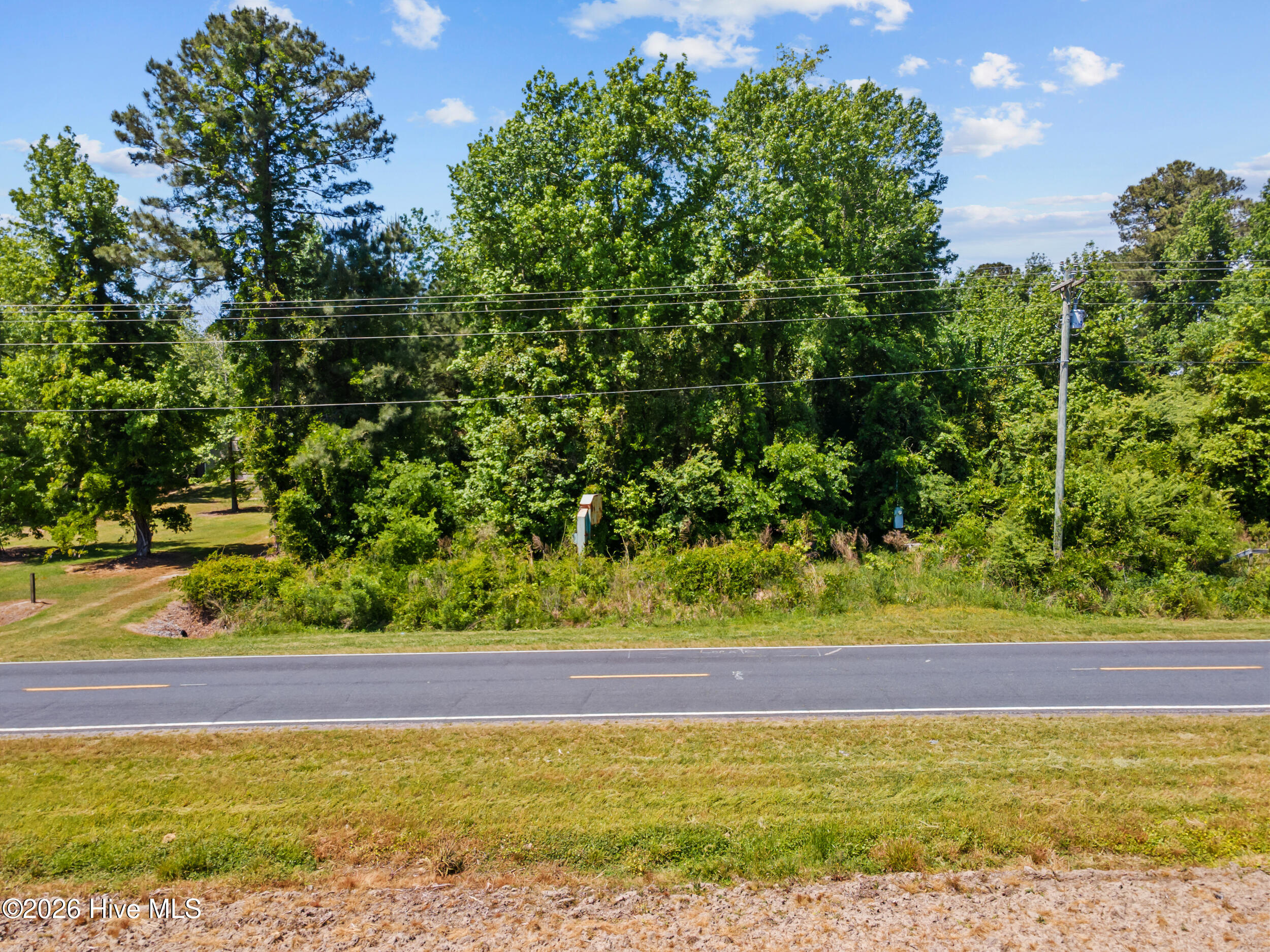 485 Florence Road Merritt, NC 28556 - Photo 7 of 19 485 Florence Road, Merritt, NC 28556