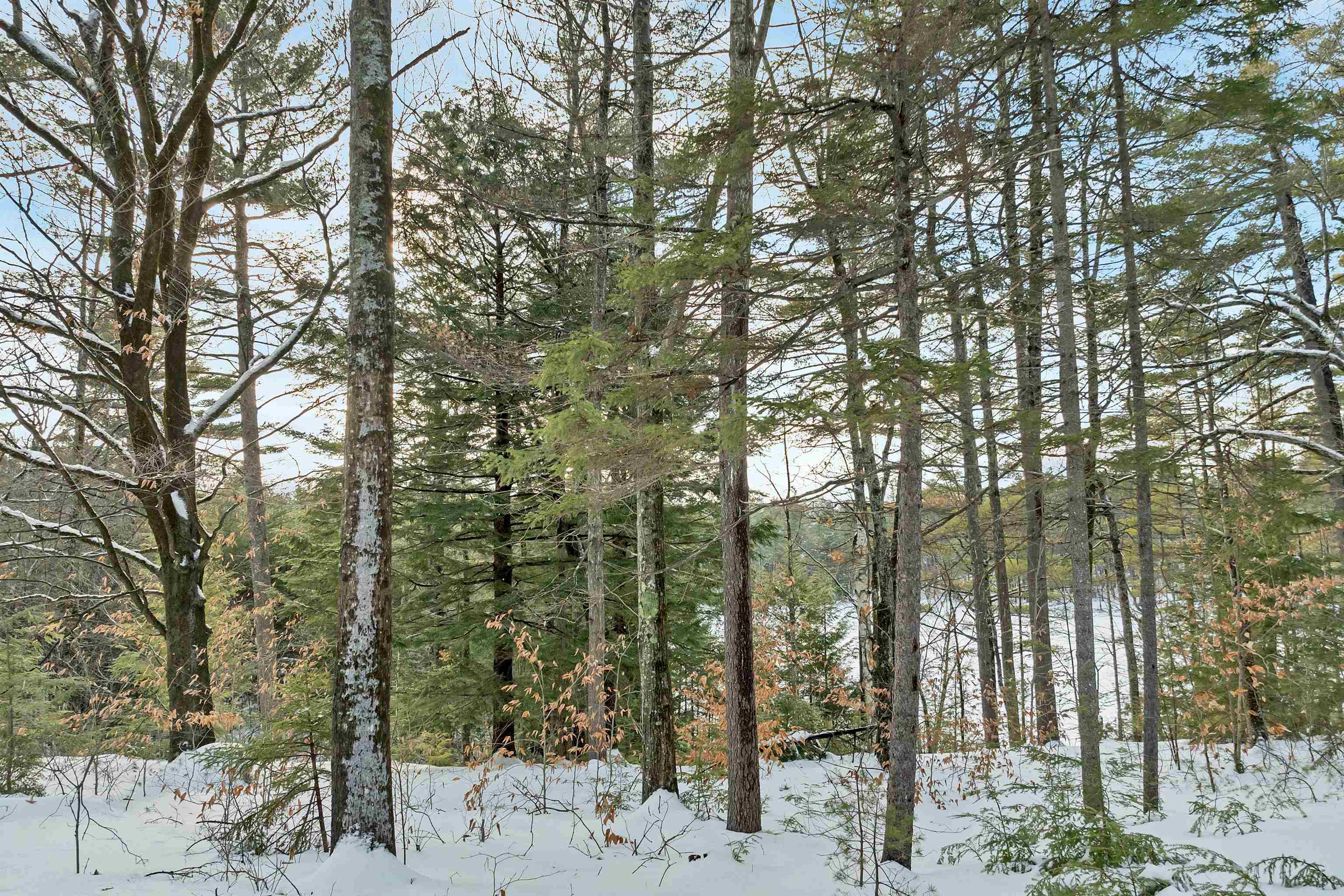 49 Tioga Road Hill, NH 03243 - Photo 12 of 22