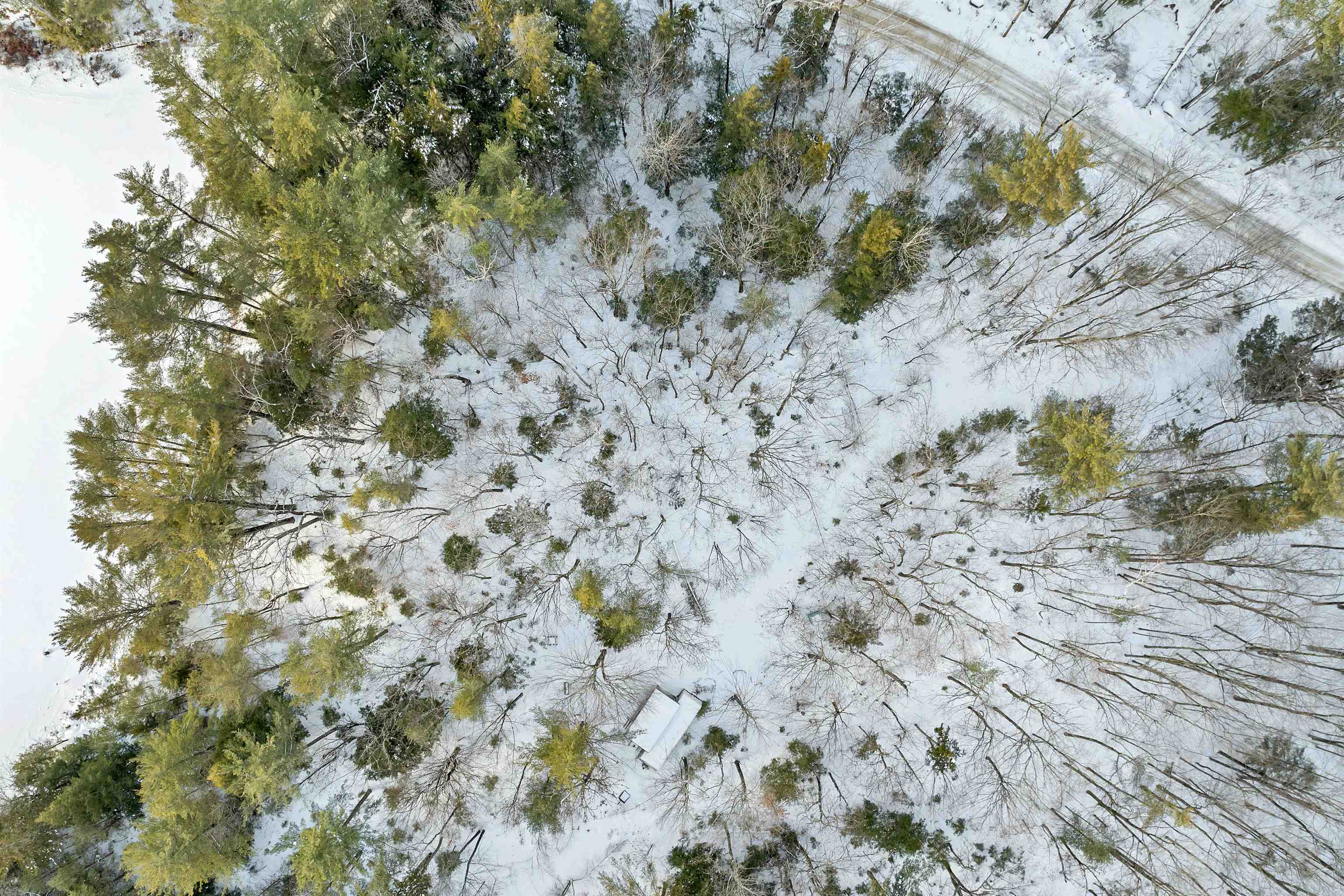 49 Tioga Road Hill, NH 03243 - Photo 4 of 22