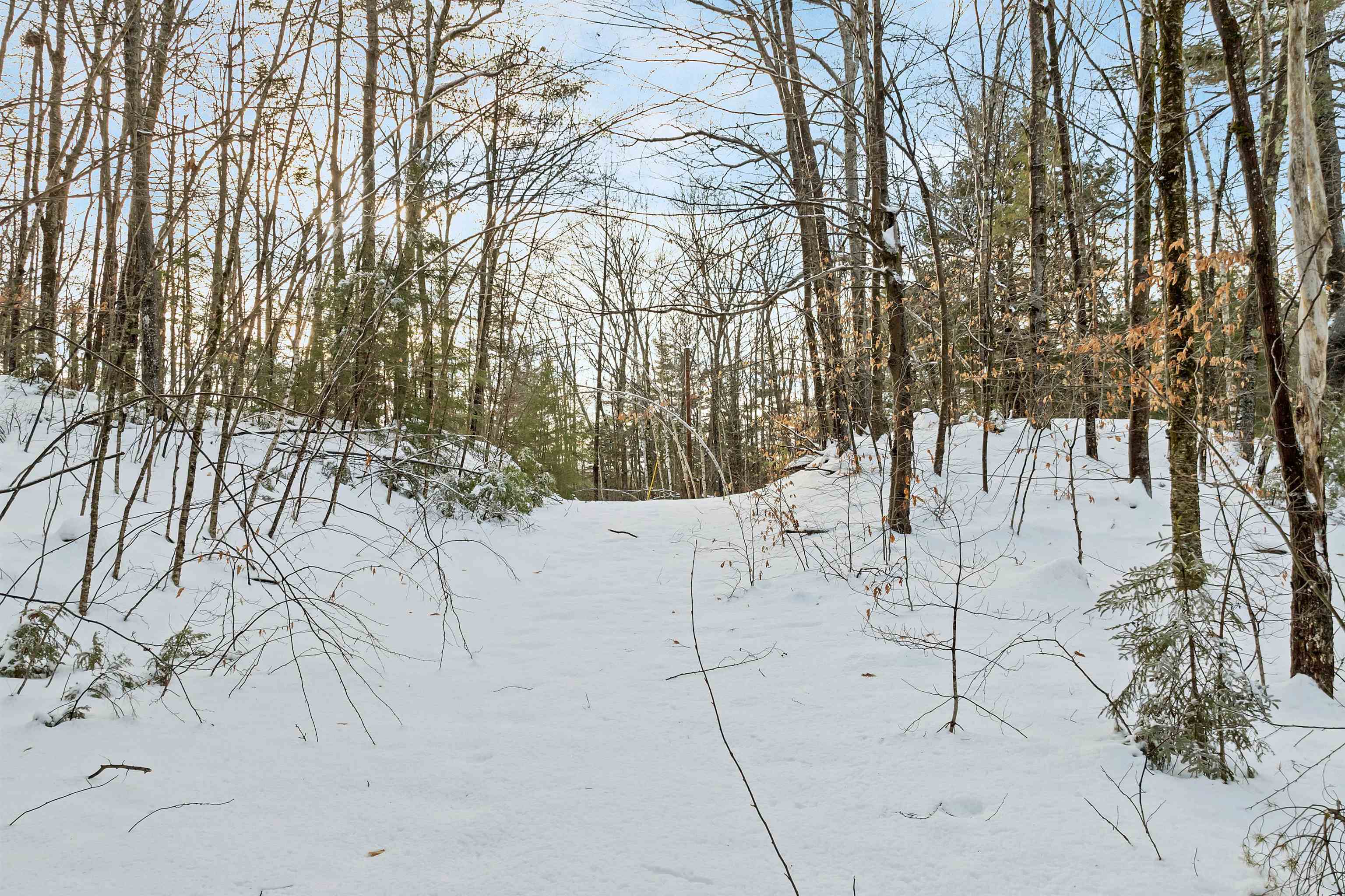 49 Tioga Road Hill, NH 03243 - Photo 7 of 22