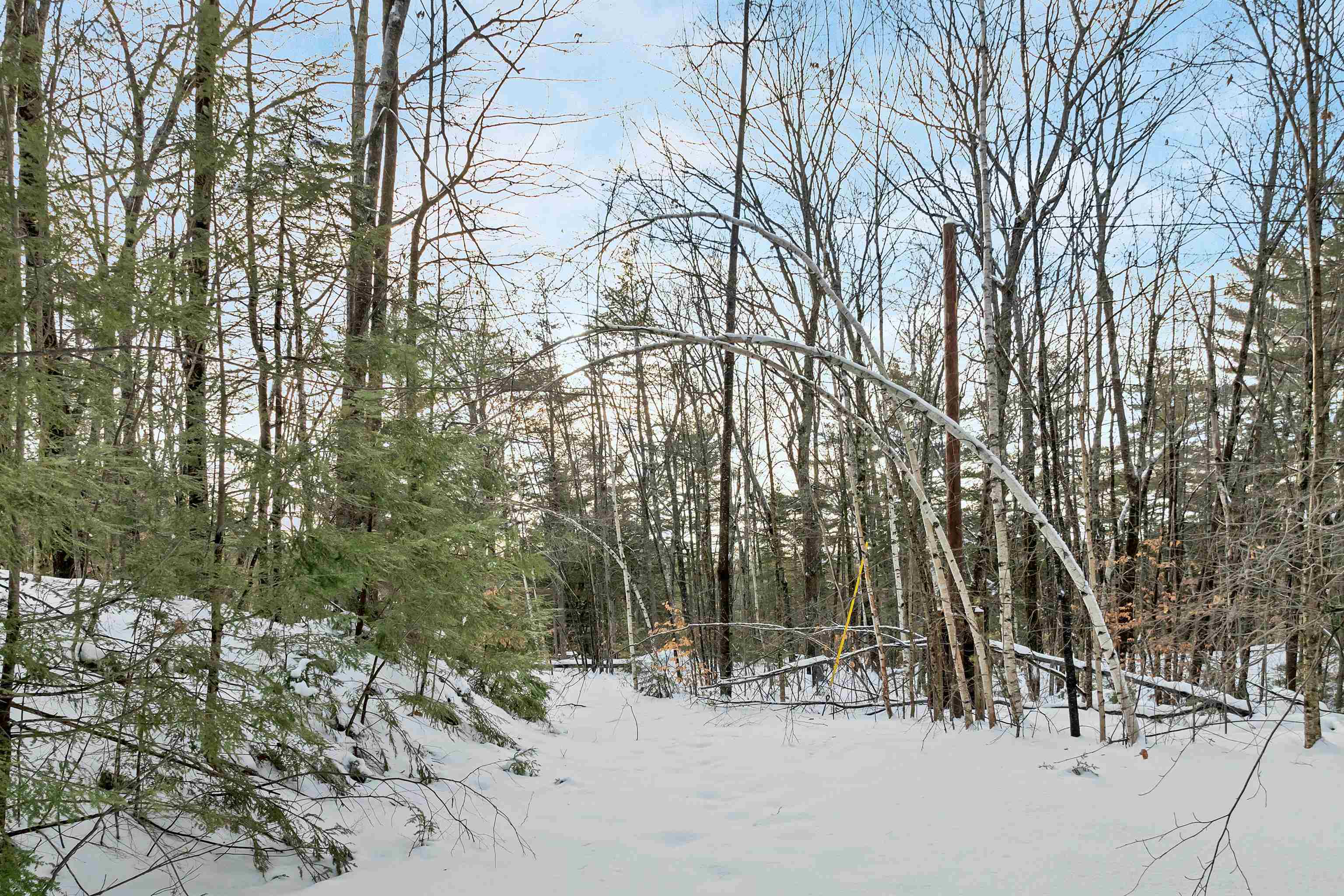 49 Tioga Road Hill, NH 03243 - Photo 8 of 22