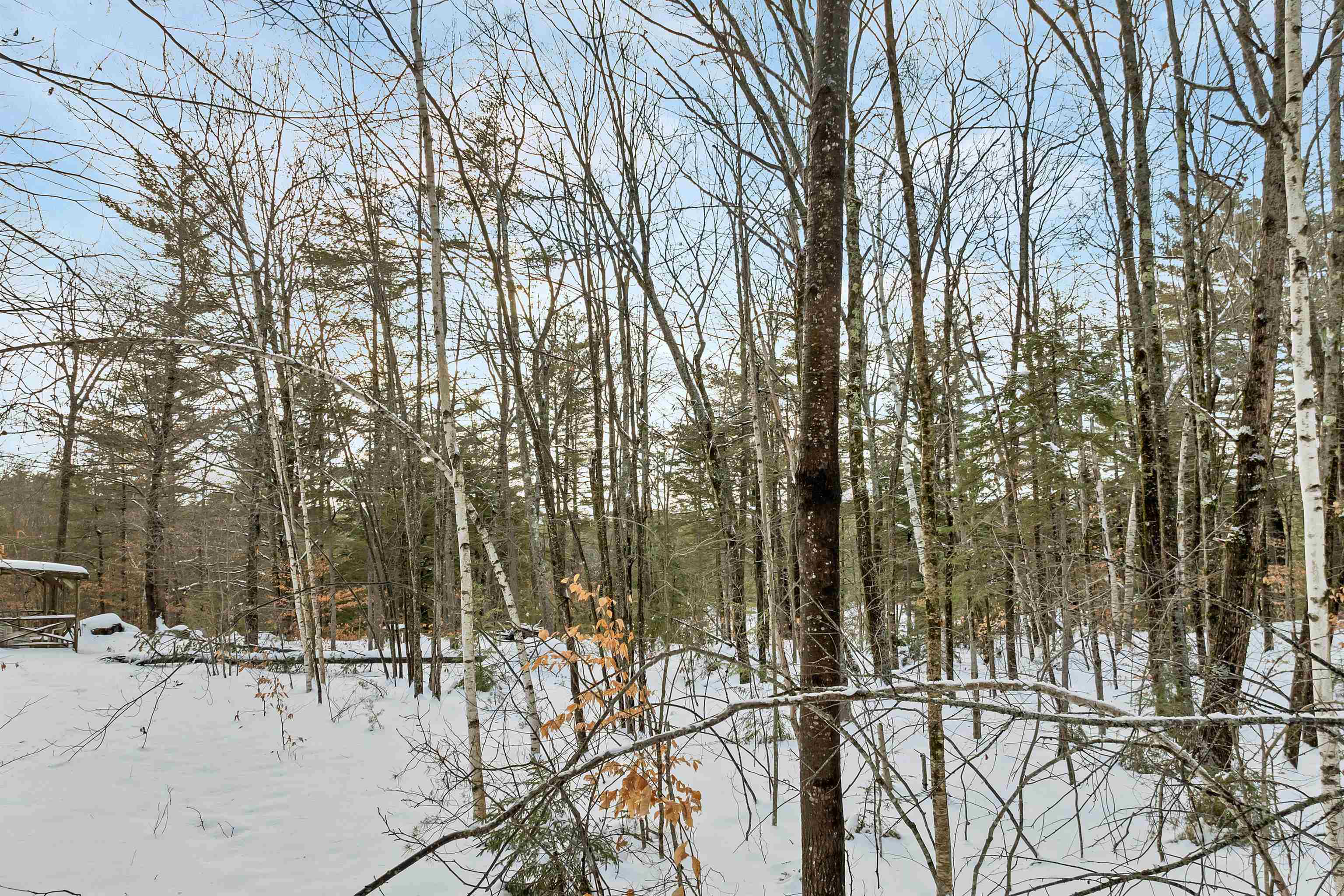 49 Tioga Road Hill, NH 03243 - Photo 9 of 22