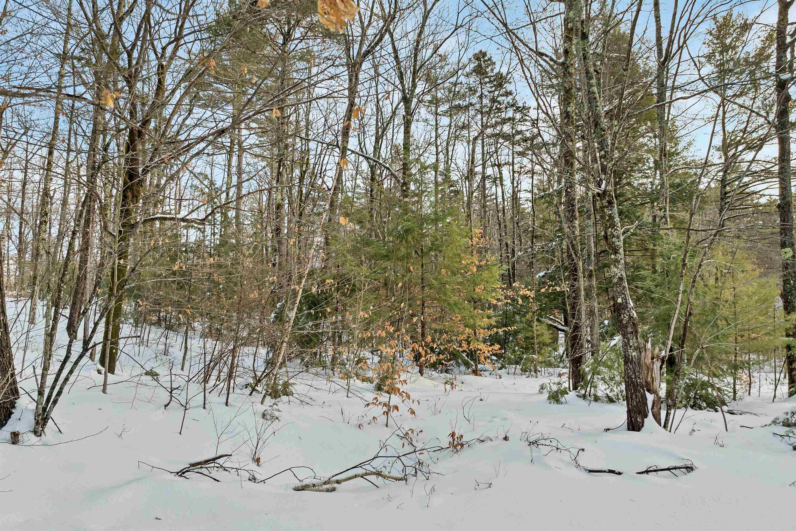 49 Tioga Road Hill, NH 03243 - Photo 10 of 22