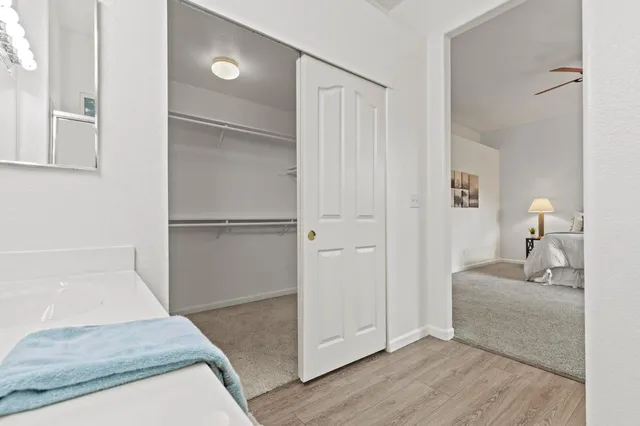 a bathroom with a sink a mirror and a shower