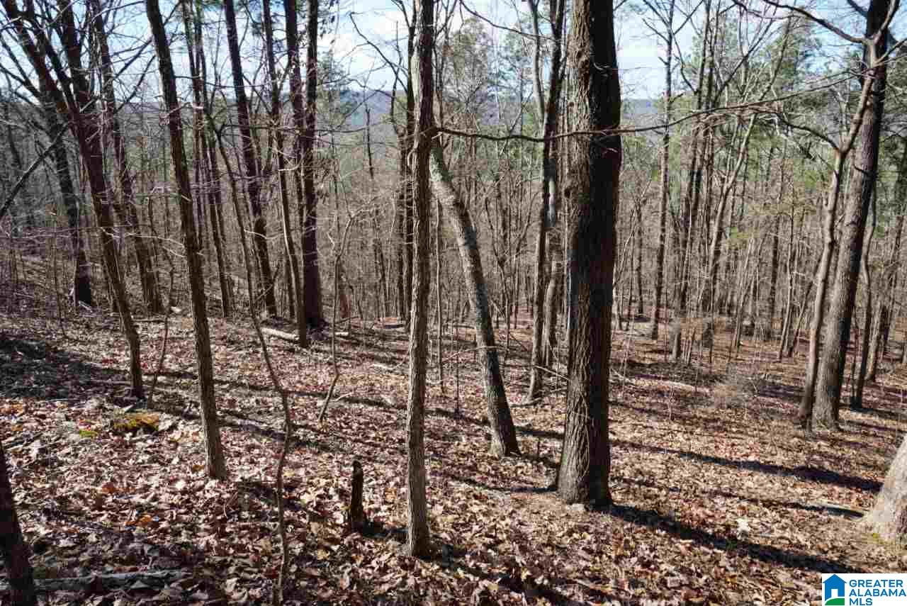 Mystic Valley View, Unit 1 Sterrett, AL 35147 - Photo 10 of 33