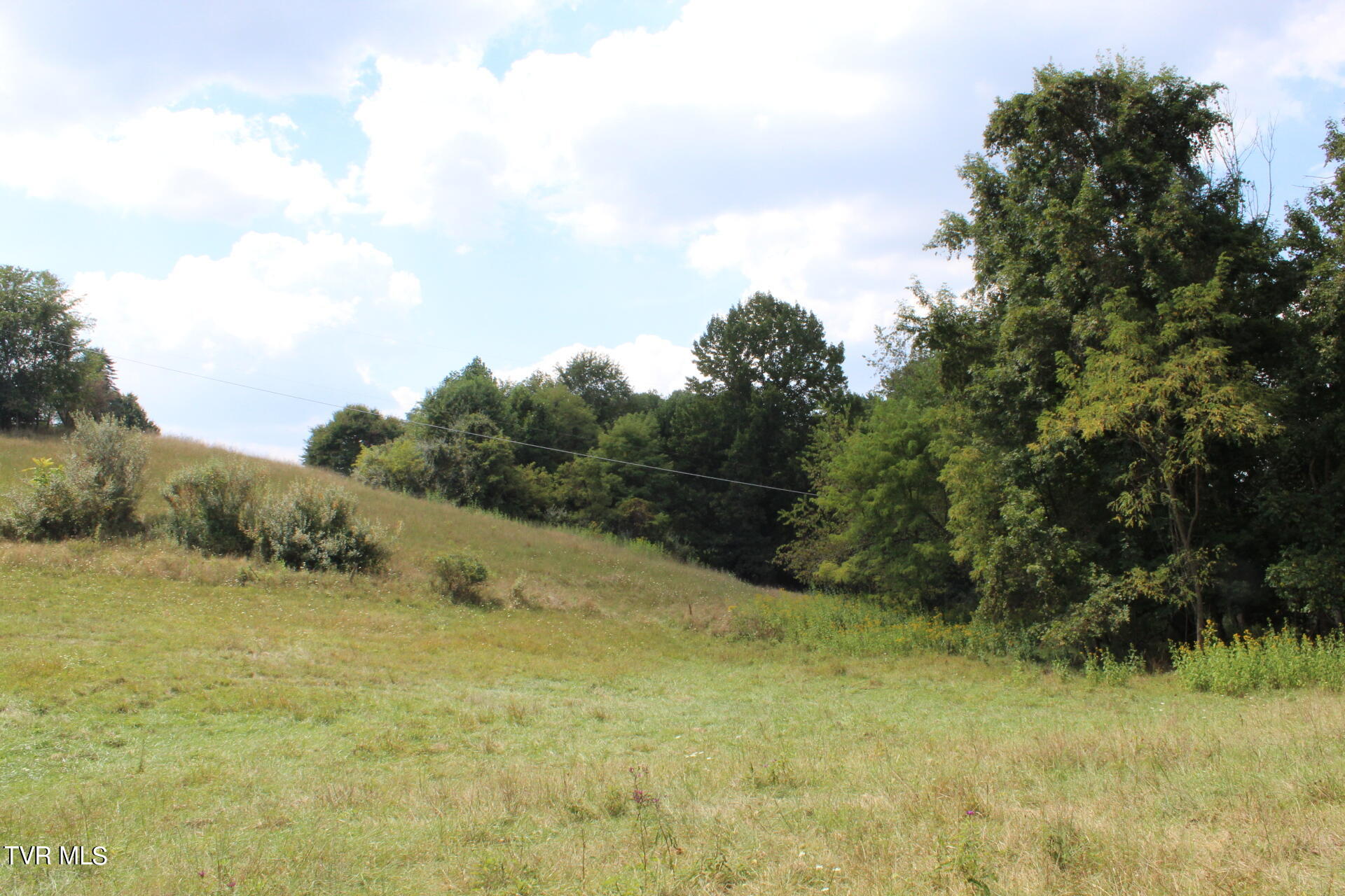Tbd Chestnut Ridge Road Chilhowie, VA 24319 - Photo 21 of 36 IMG_2284