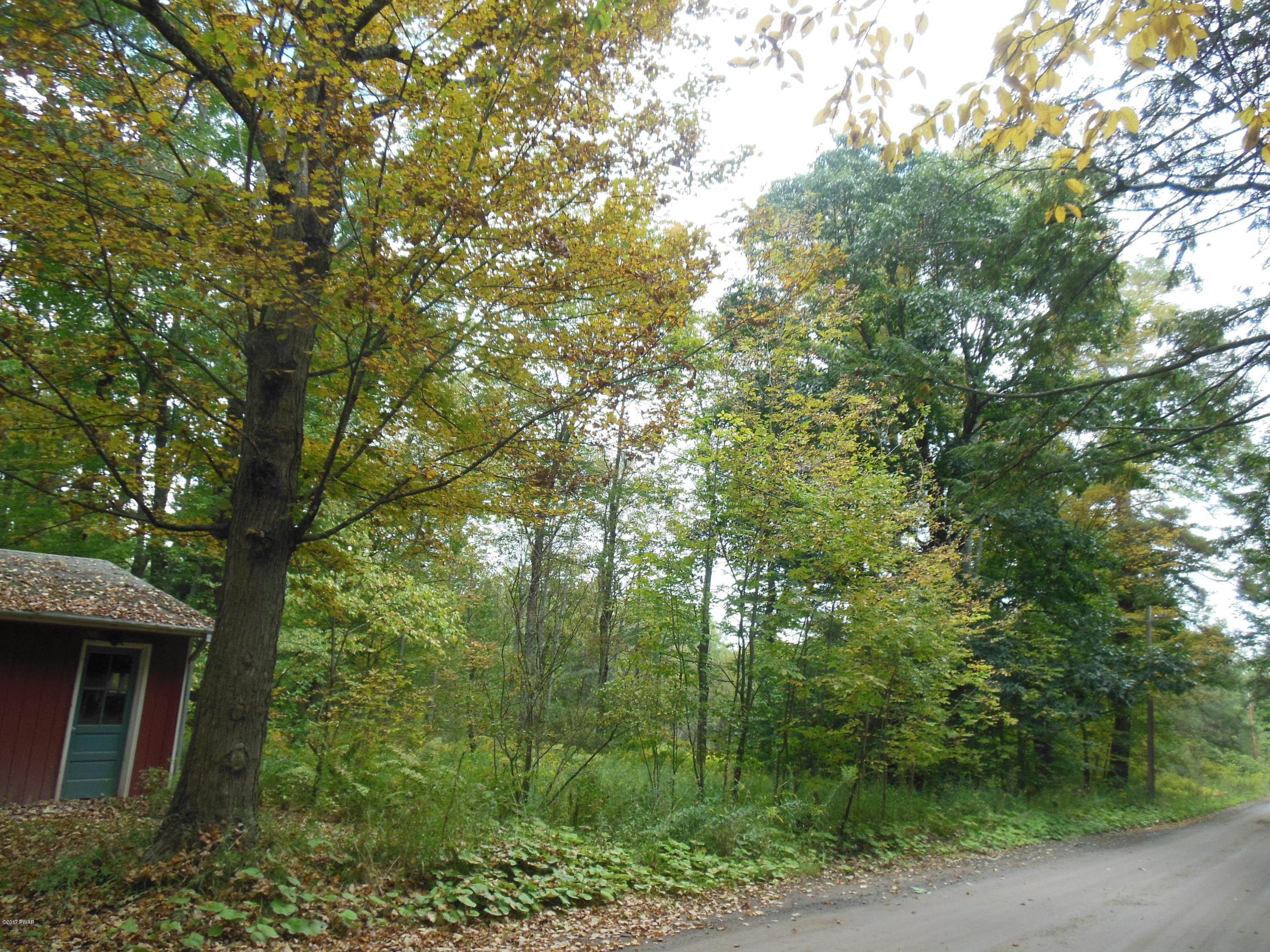 775 Adams Pond Road Beach Lake, PA 18405 - Photo 13 of 14 a view of a house with a tree in front of it