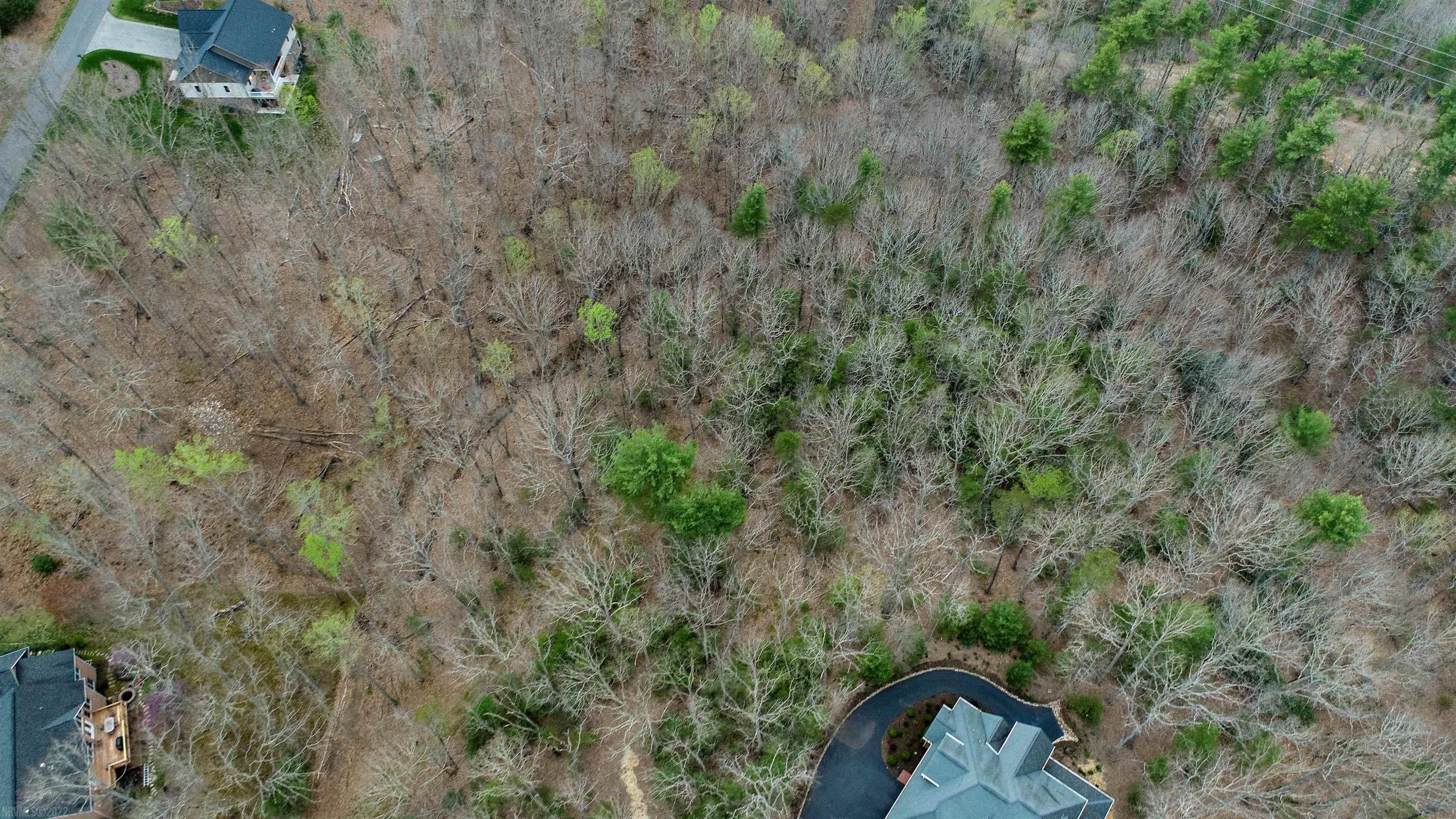 1115 Treetop Ridge Road Blacksburg, VA 24060 - Photo 16 of 26 Gallery Image 16