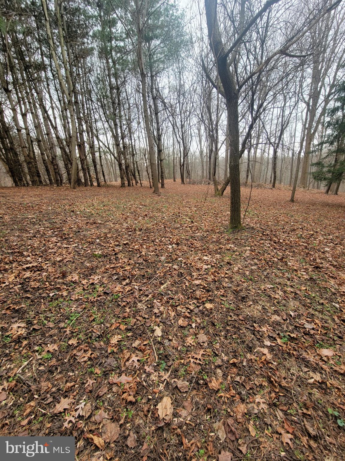 1109 Harkins Road Pylesville, MD 21132 - Photo 2 of 4 Gallery Image 2
