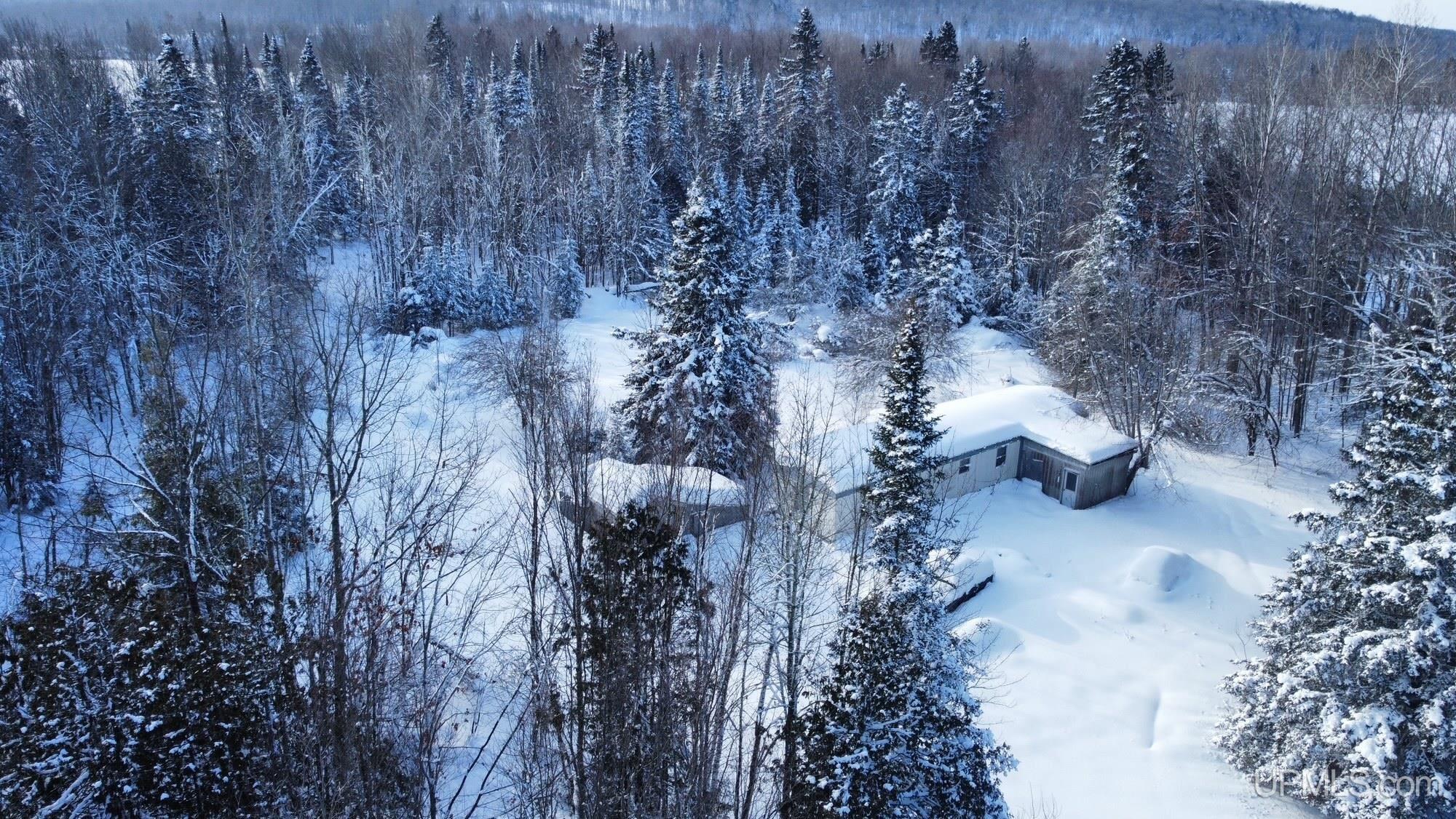 Tbd Niemi Road Pelkie, MI 49958 - Photo 5 of 12
