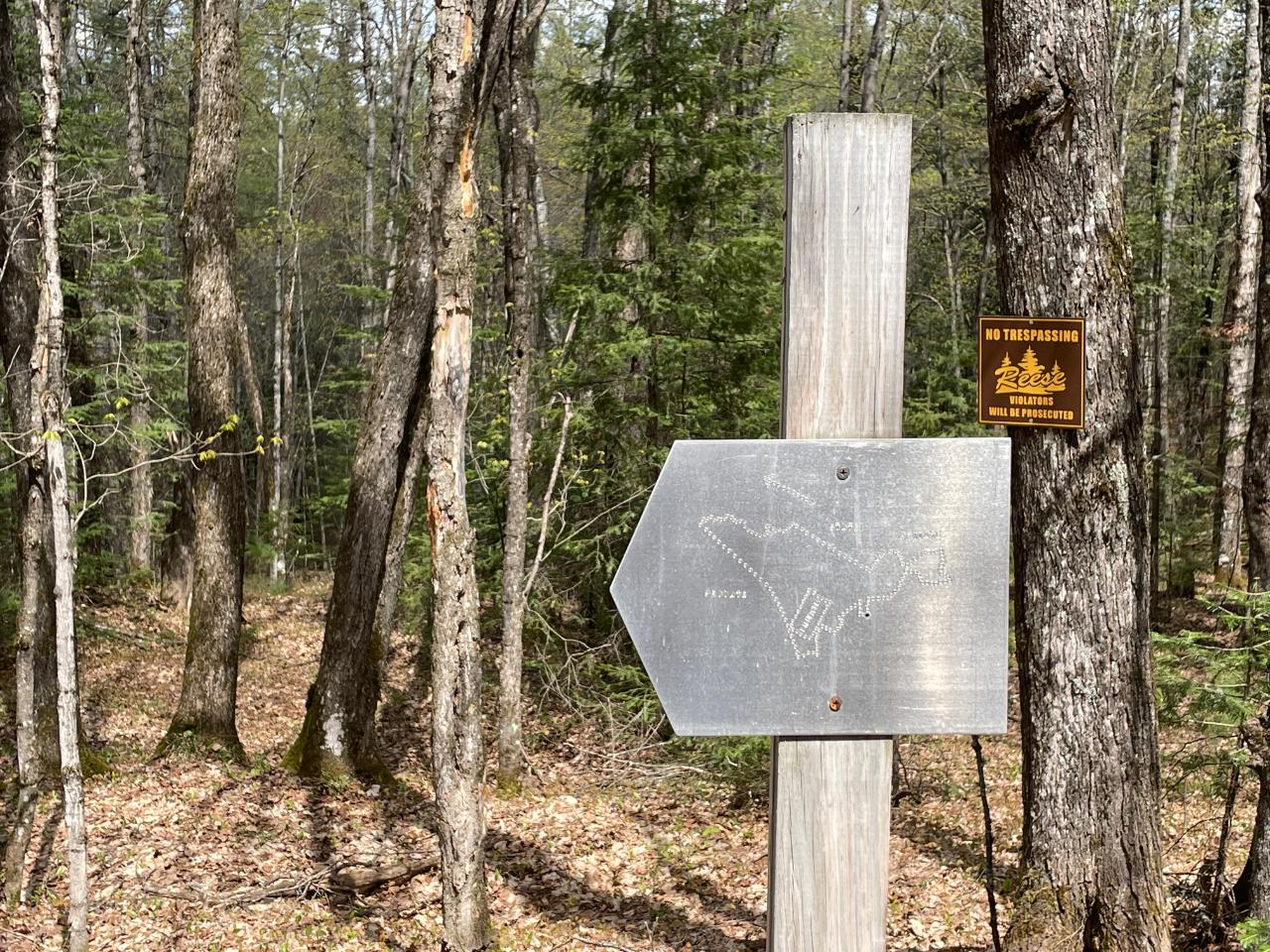 Lot #3 Yellow Birch Road Presque Isle, WI 54557 - Photo 14 of 15 Gallery Image 14