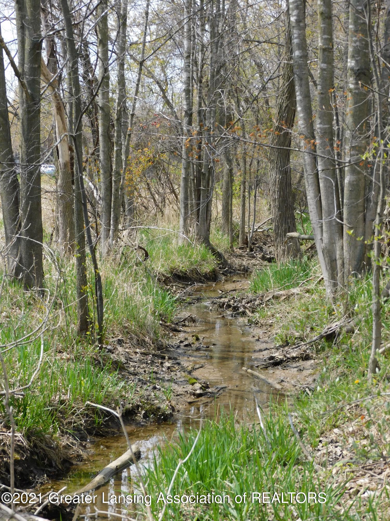 0 Garrison Road Laingsburg, MI 48848 - Photo 21 of 31 Drain out front