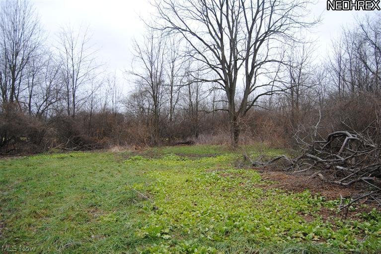 Baughman Road Clinton, OH 44216 - Photo 2 of 5 Gallery Image 2
