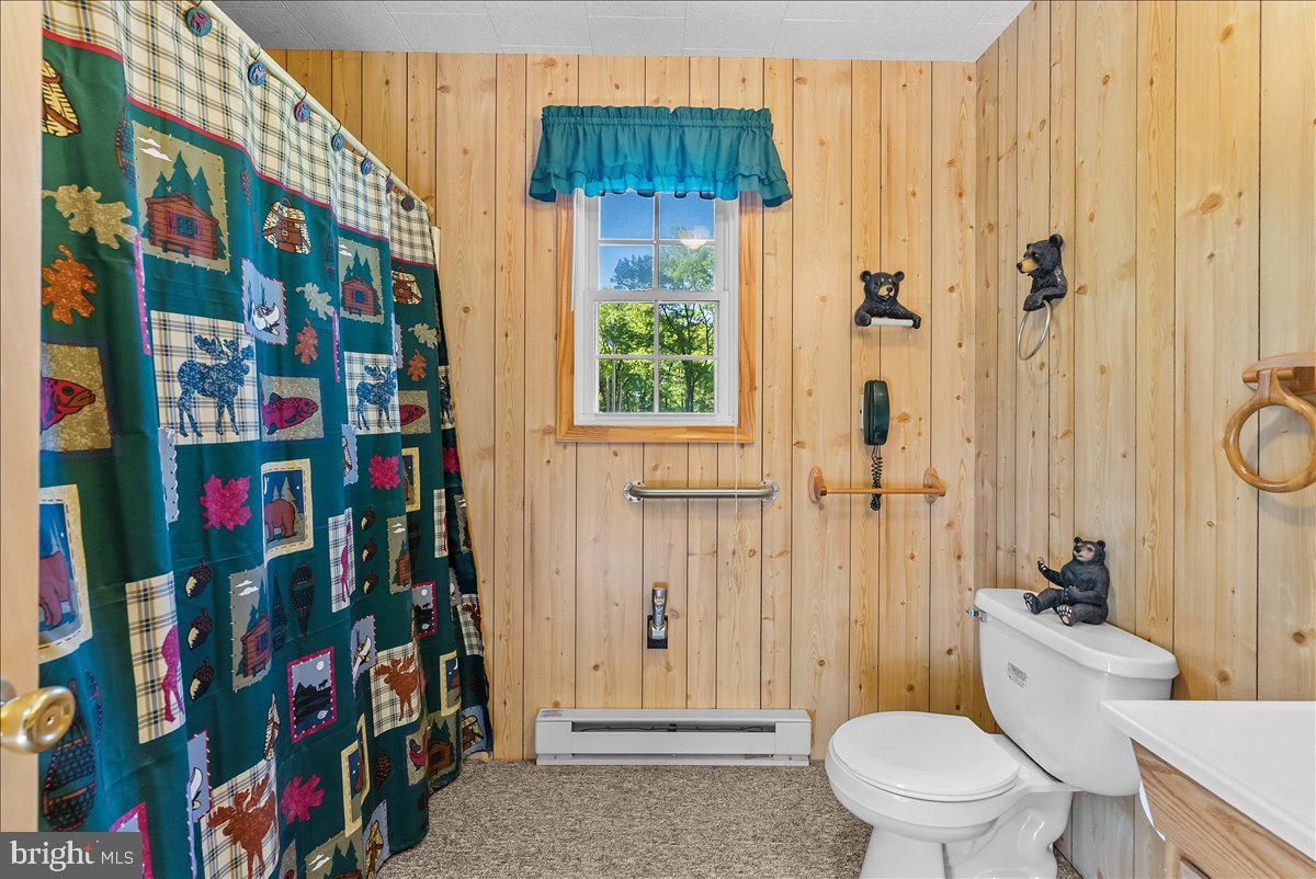 663 Bear Woods Road Mount Storm, WV 26739 - Photo 20 of 73 Charming rustic bathroom retreat.
